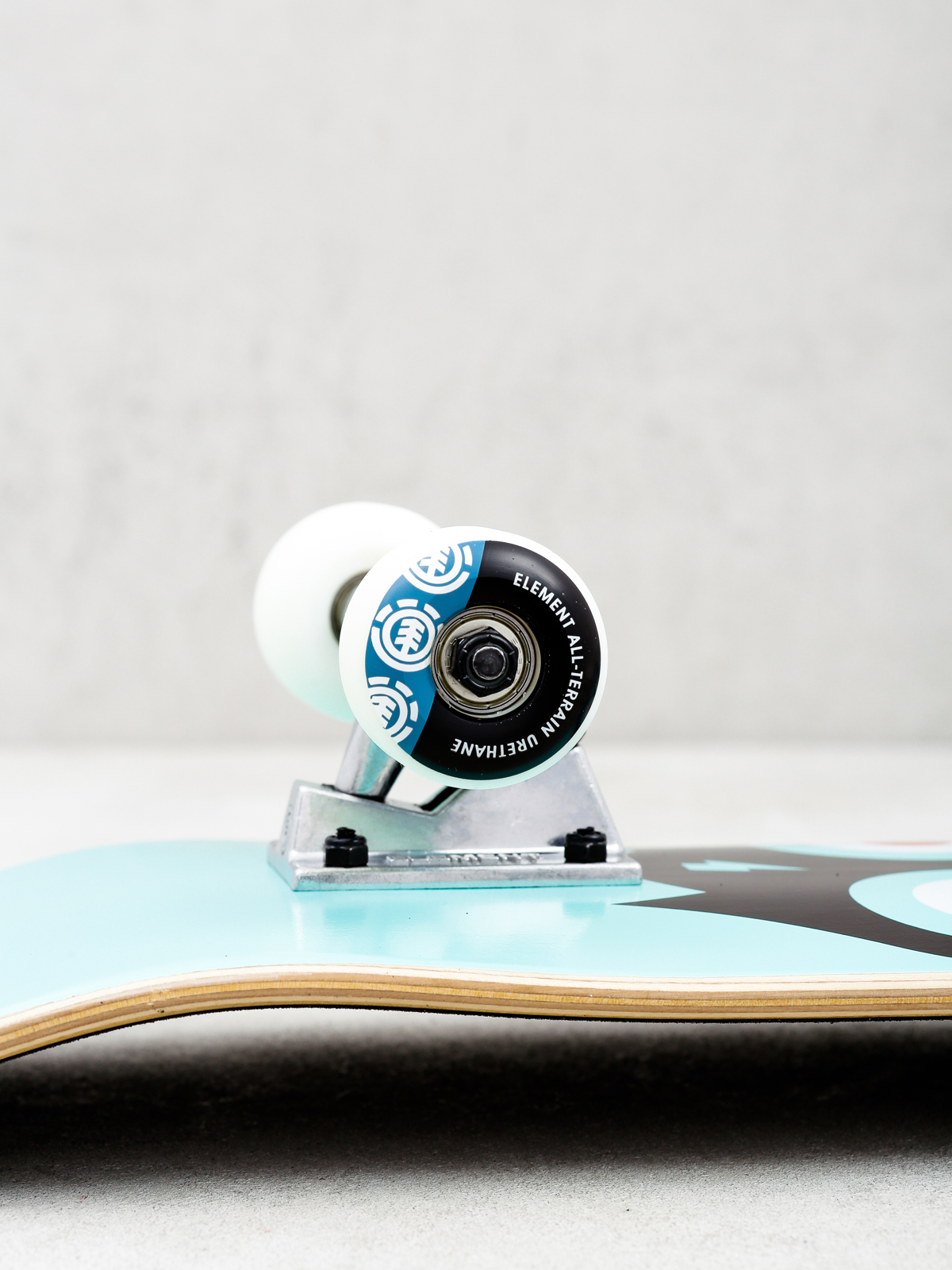 Skateboard Element Wisdom (assorted)