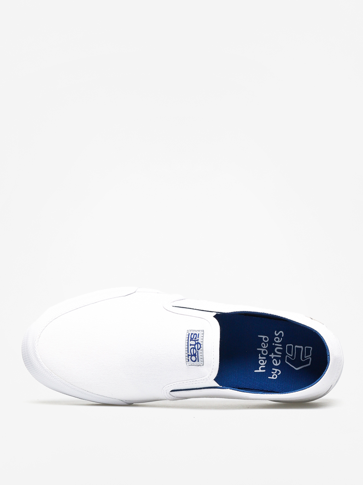Boty Etnies Langston X Sheep (white/blue)