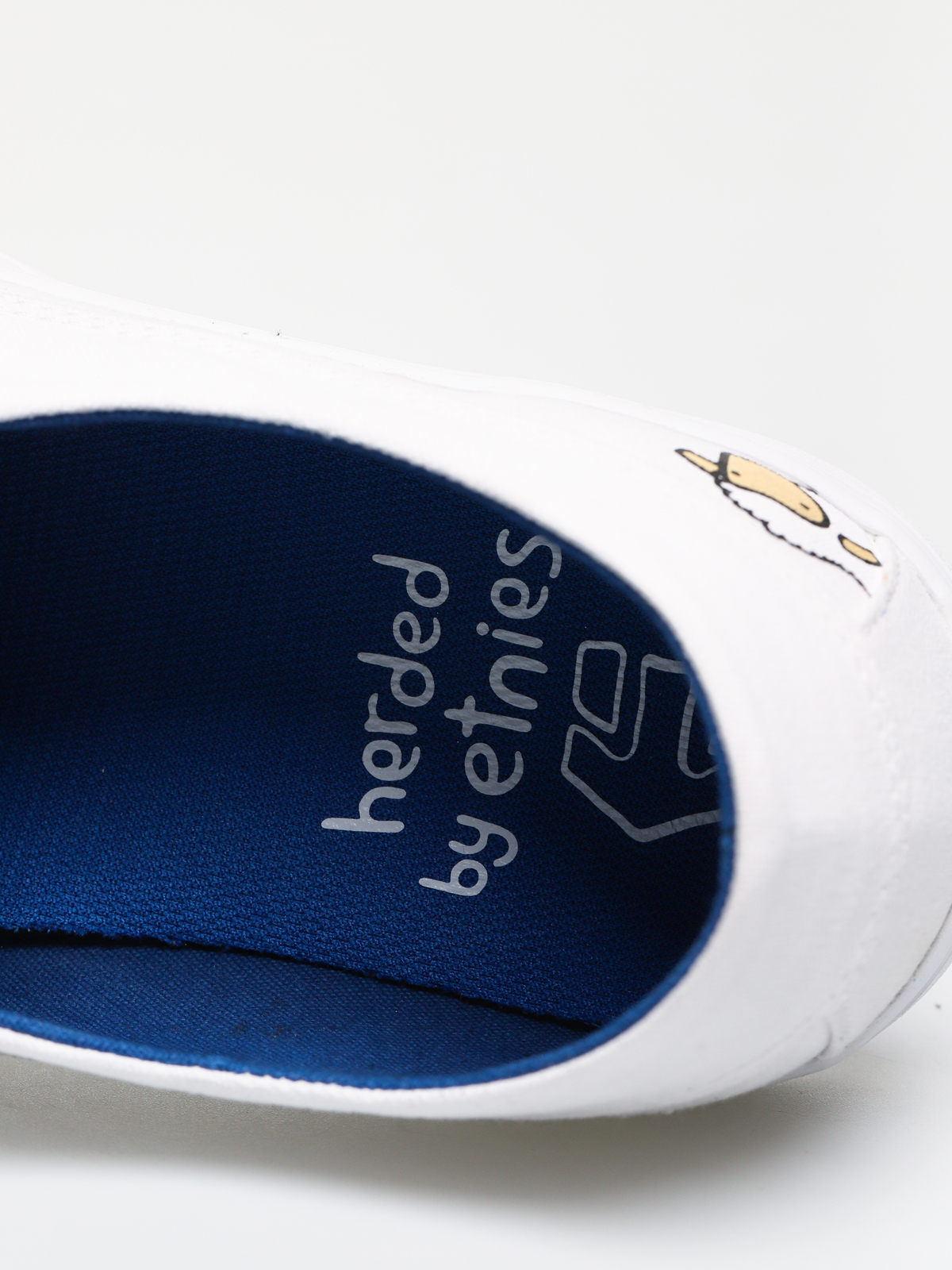 Boty Etnies Langston X Sheep (white/blue)