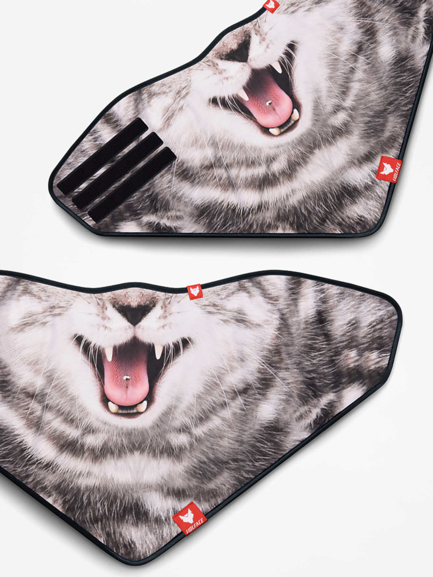 Bandana Wolface Kitten 