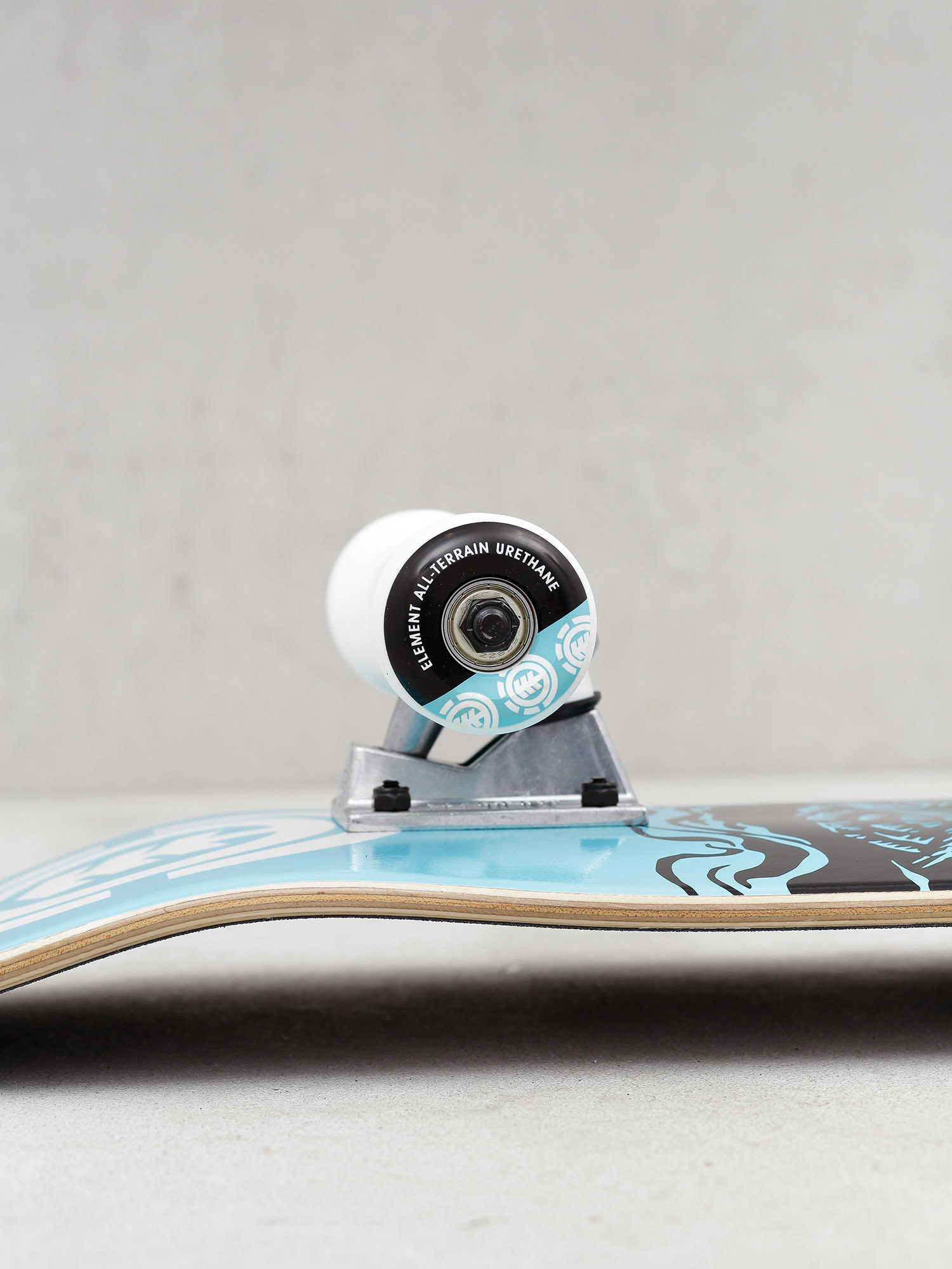 Skateboard Element Night Owl (assorted)