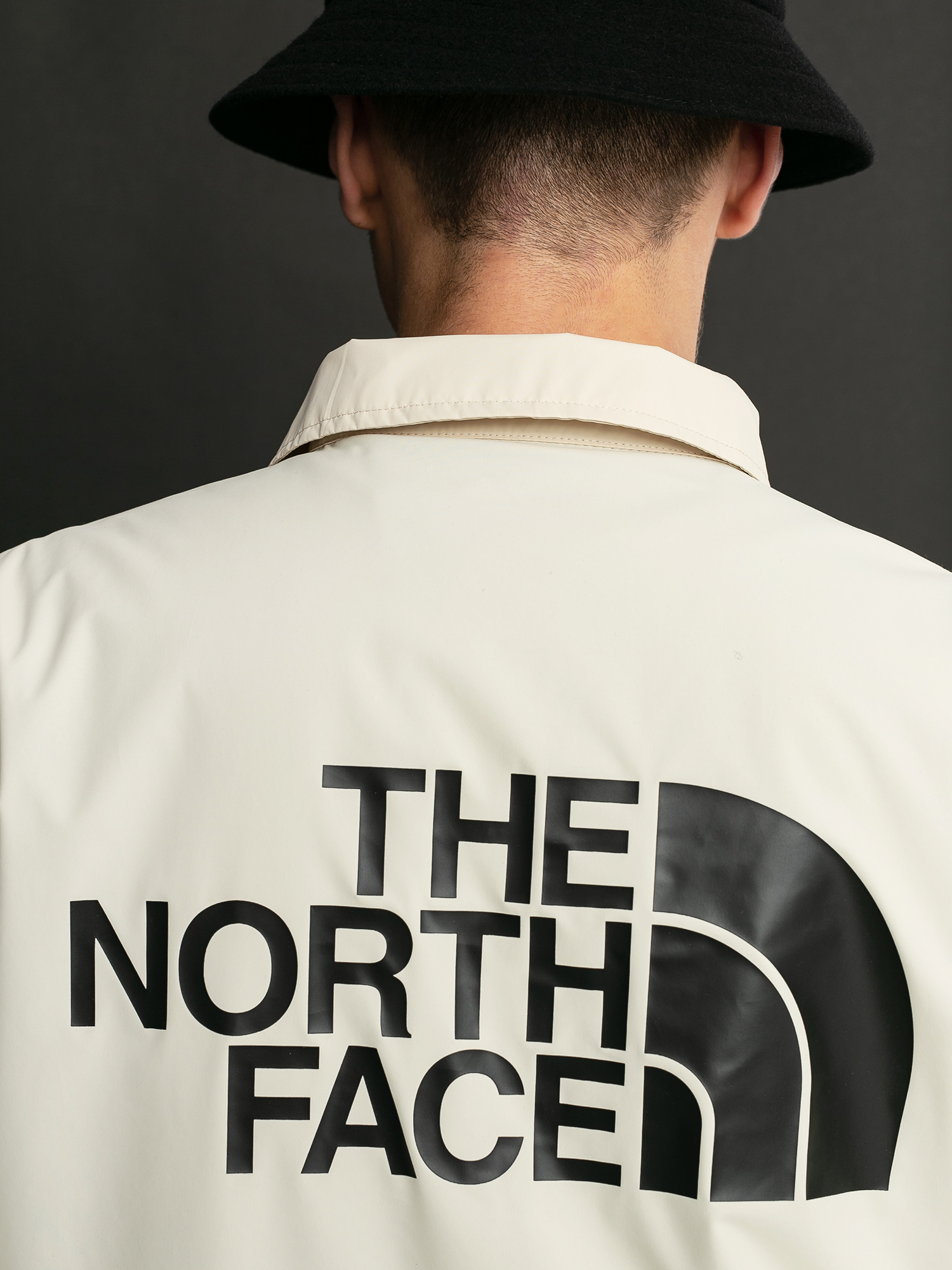 Bunda The North Face Telegraphic Coaches (bleached sand)