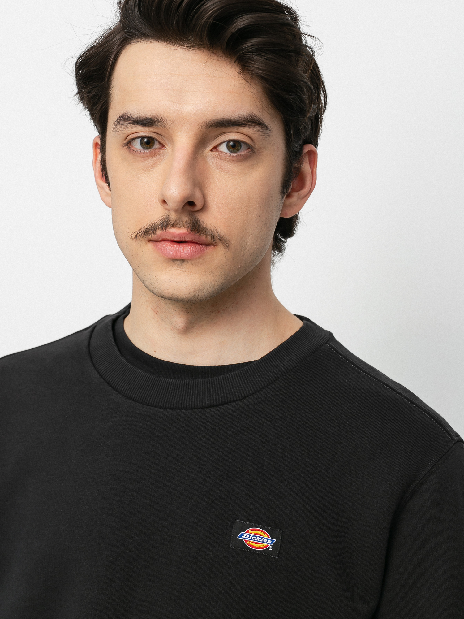 Mikina Dickies Oakport (black)