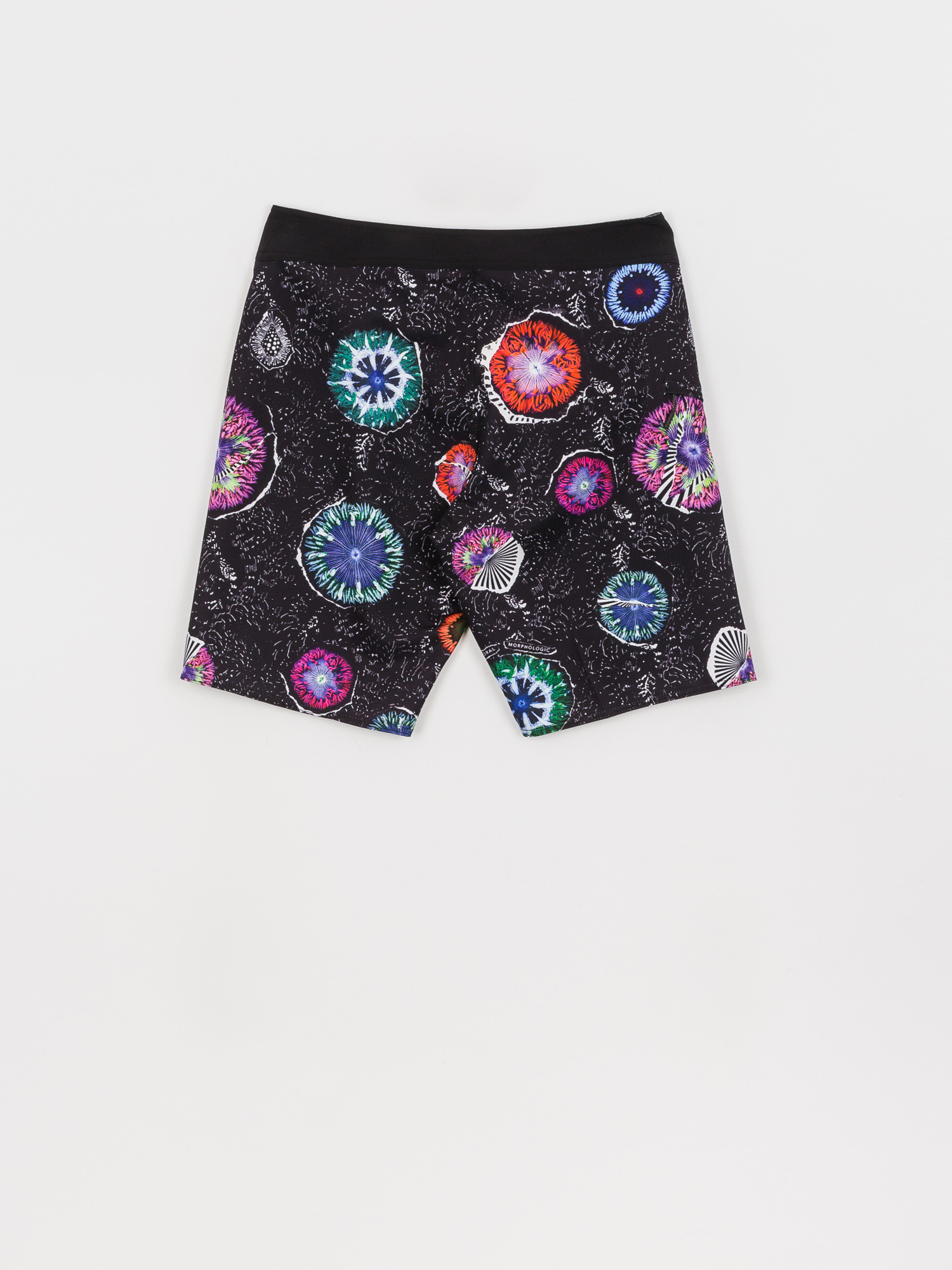 Plážové kraťasy Volcom Coral Morph 20 (black)
