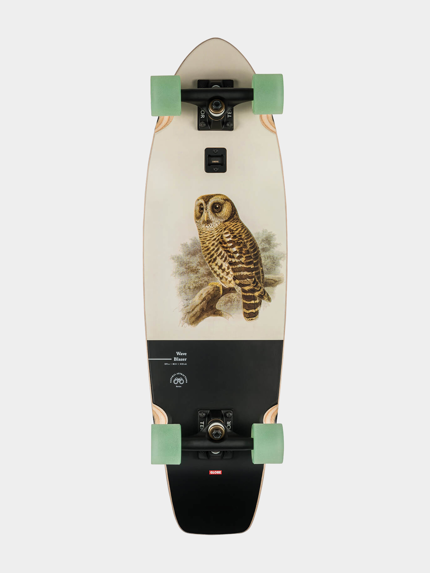 Cruiser Globe Wave Blazer (hoot owl)
