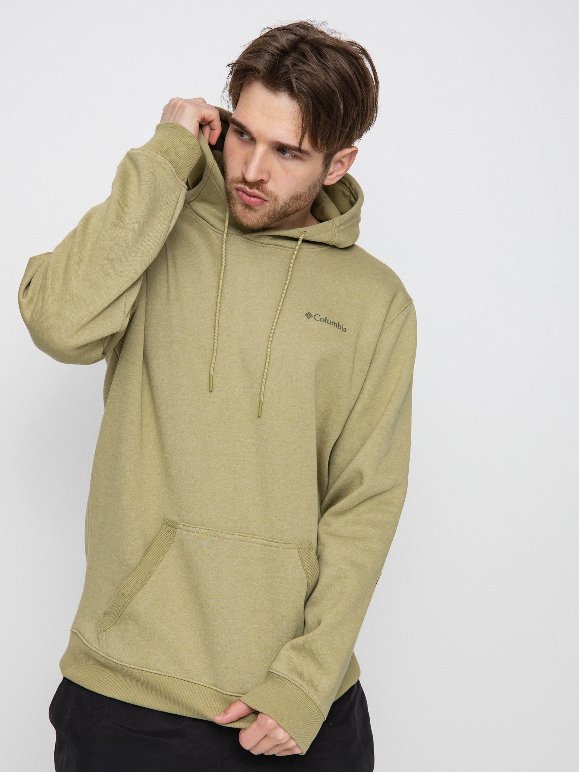 Mikina s kapucí Columbia Basic Logo HD (savory heather)