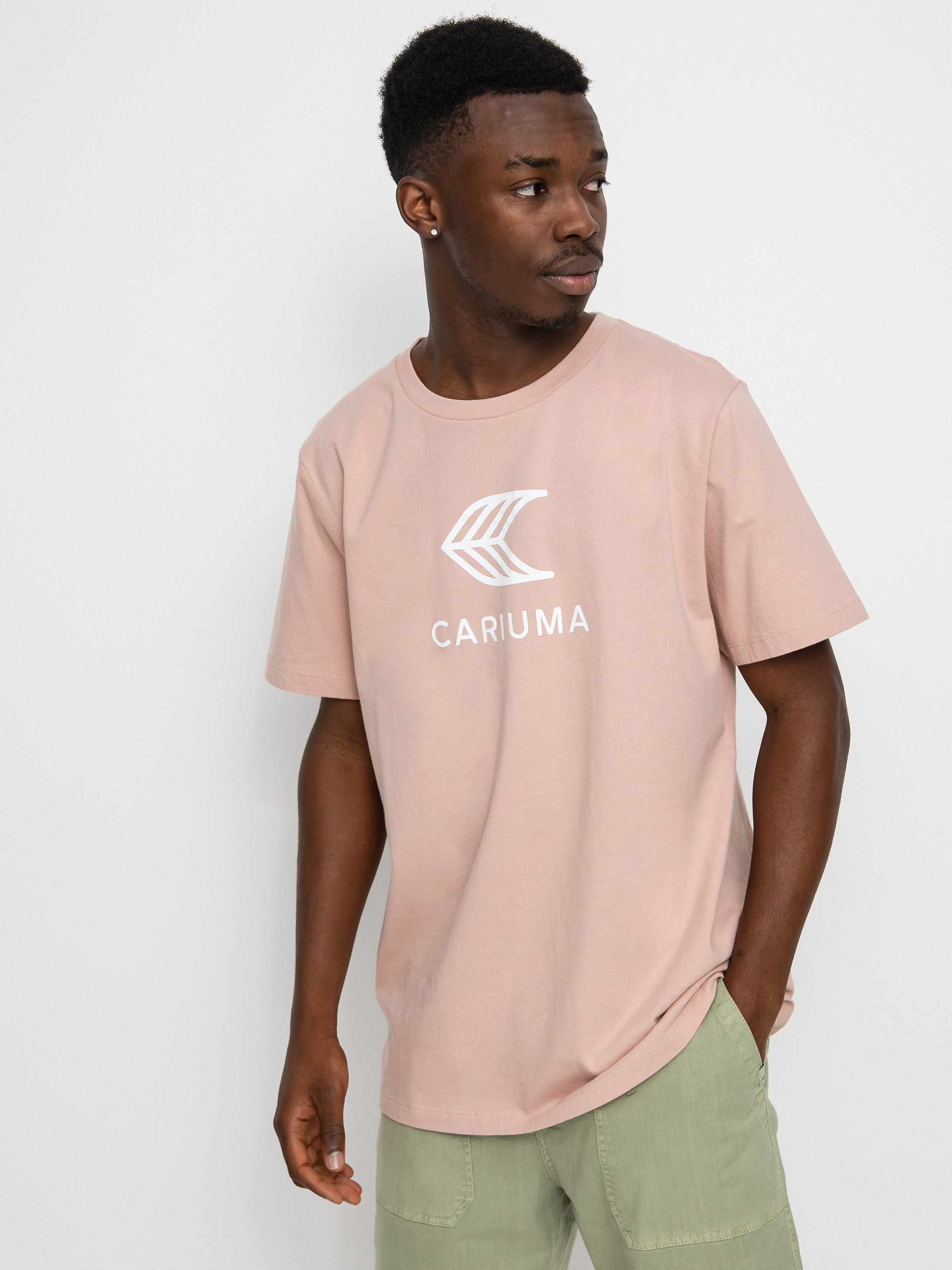 Triu010dko Cariuma Logo (rose)