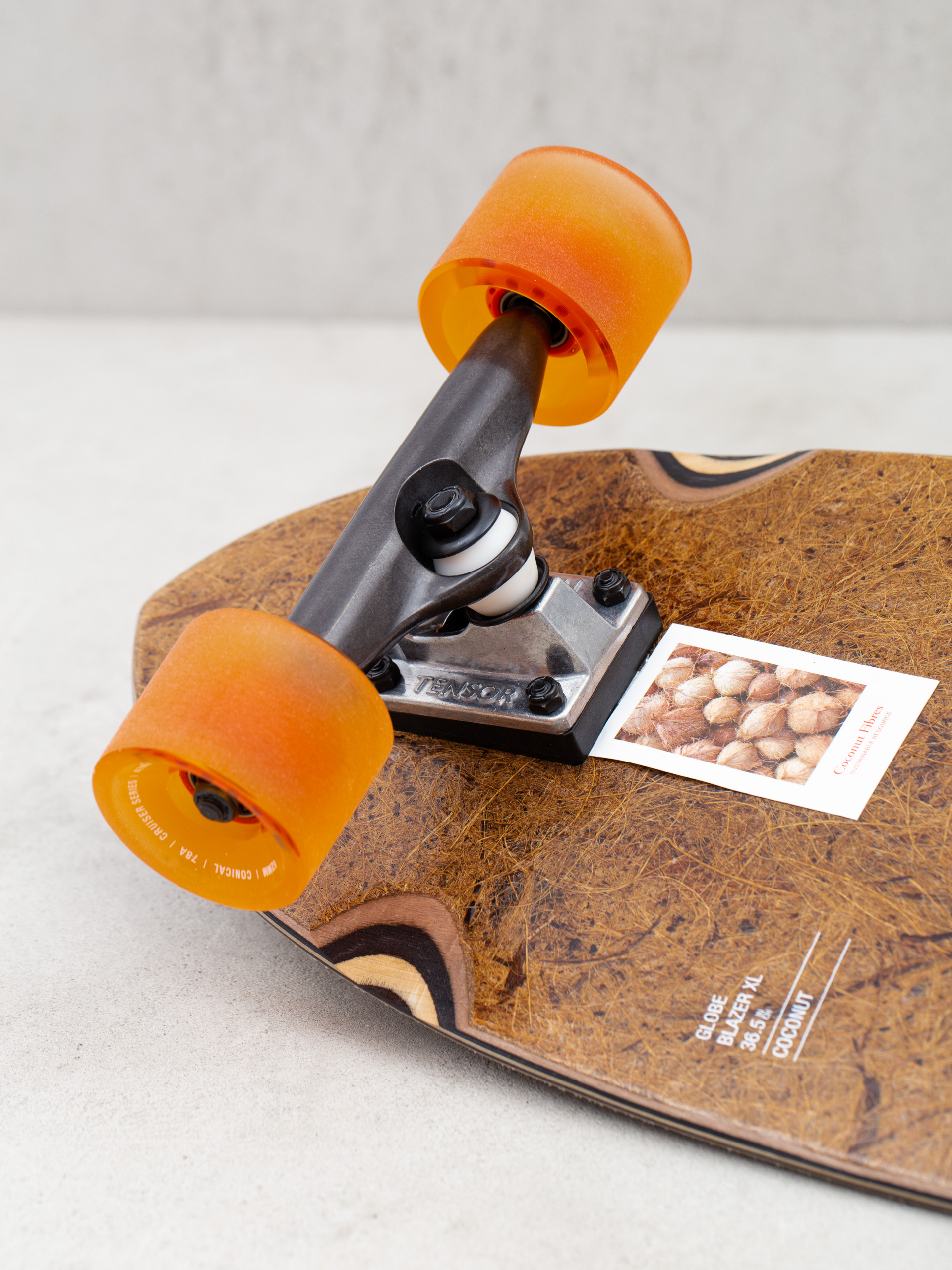 Longboard Globe Blazer XL (coconut/mountains)