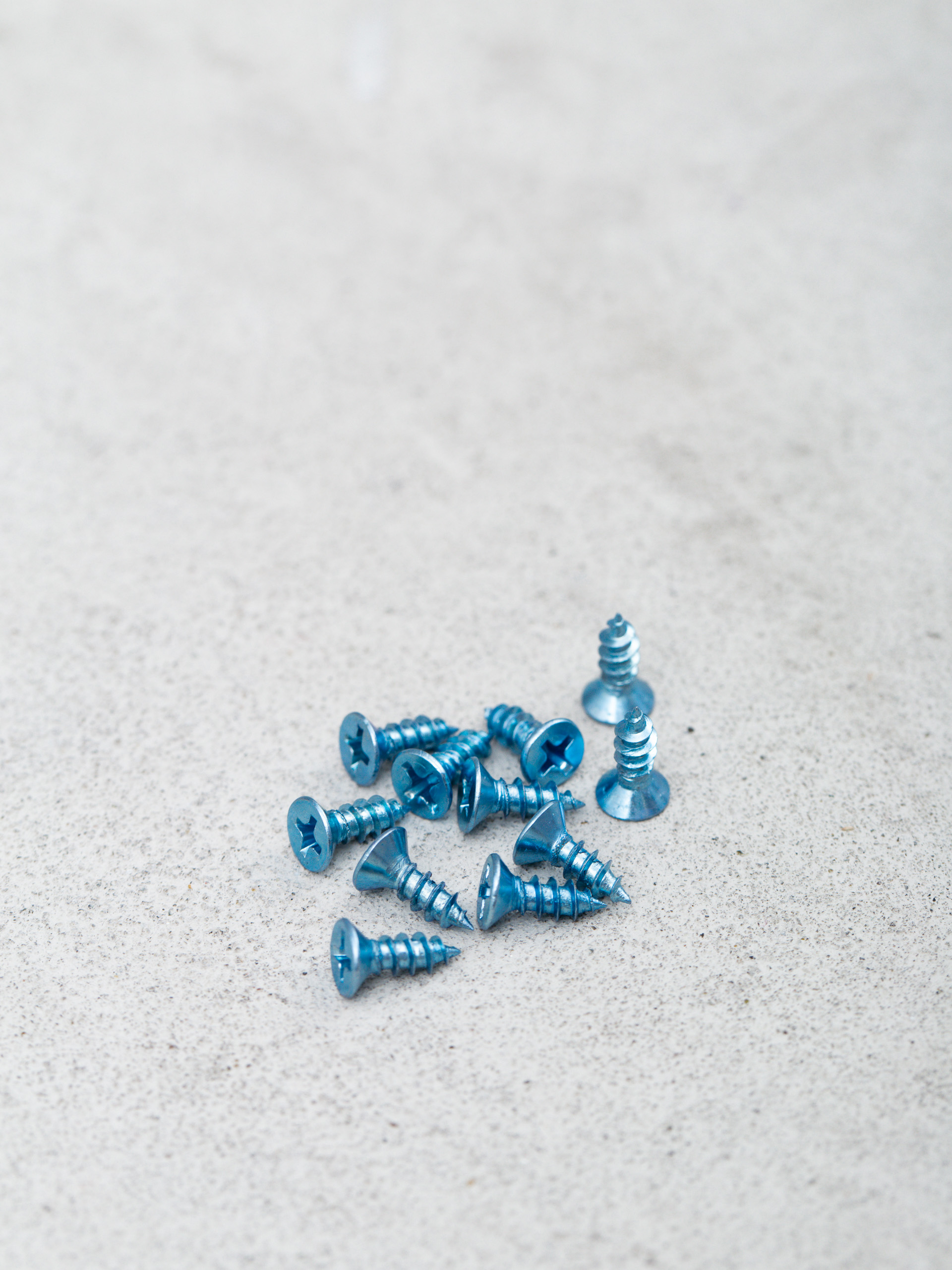 Railsy Pig Railsy Rails (zebra)