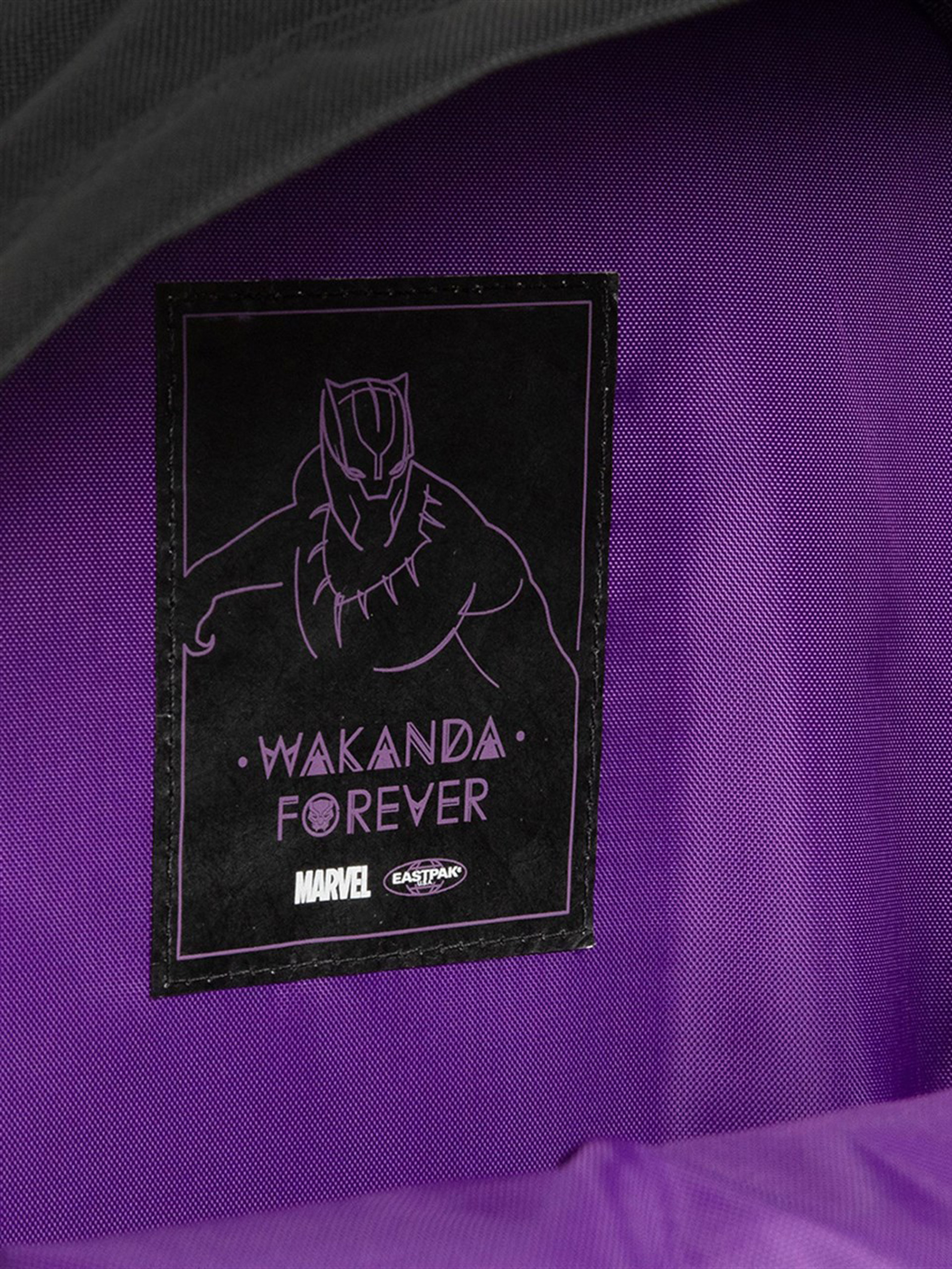 Batoh Eastpak Padded Pak R (bp embroided)