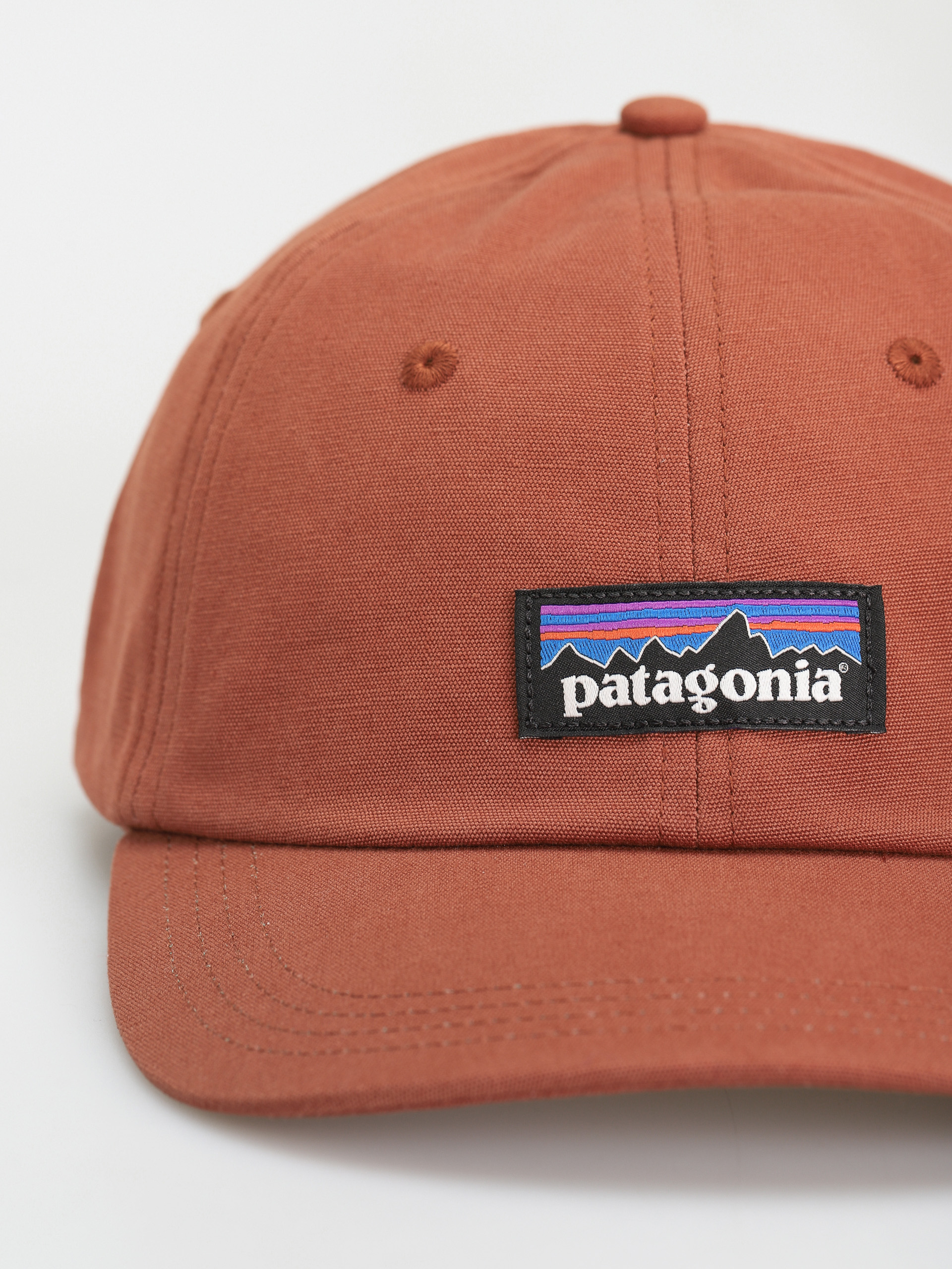 Kšiltovka  Patagonia P 6 Label Trad (sisu brown)
