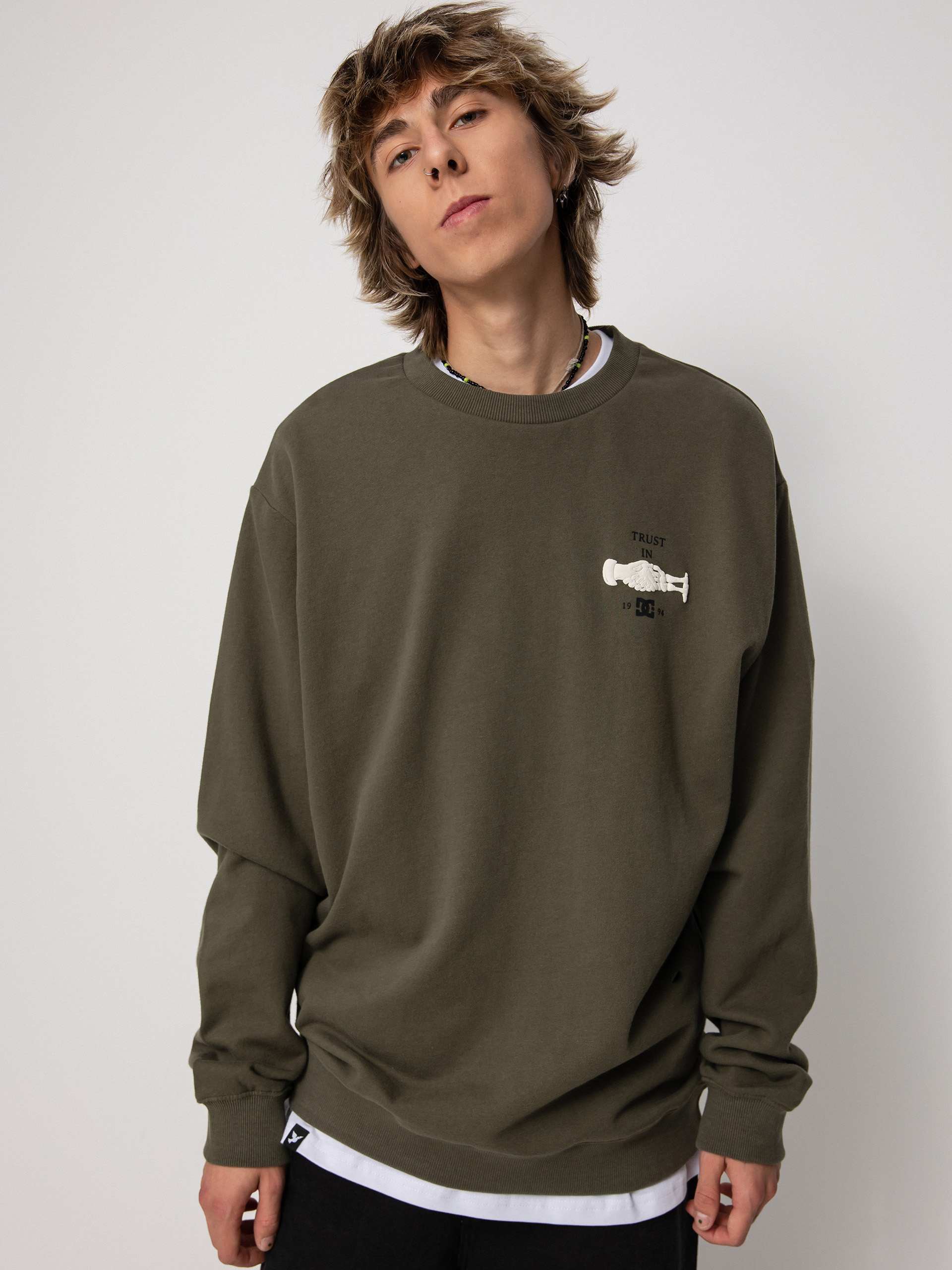 Mikina DC Trust Us (ivy green)