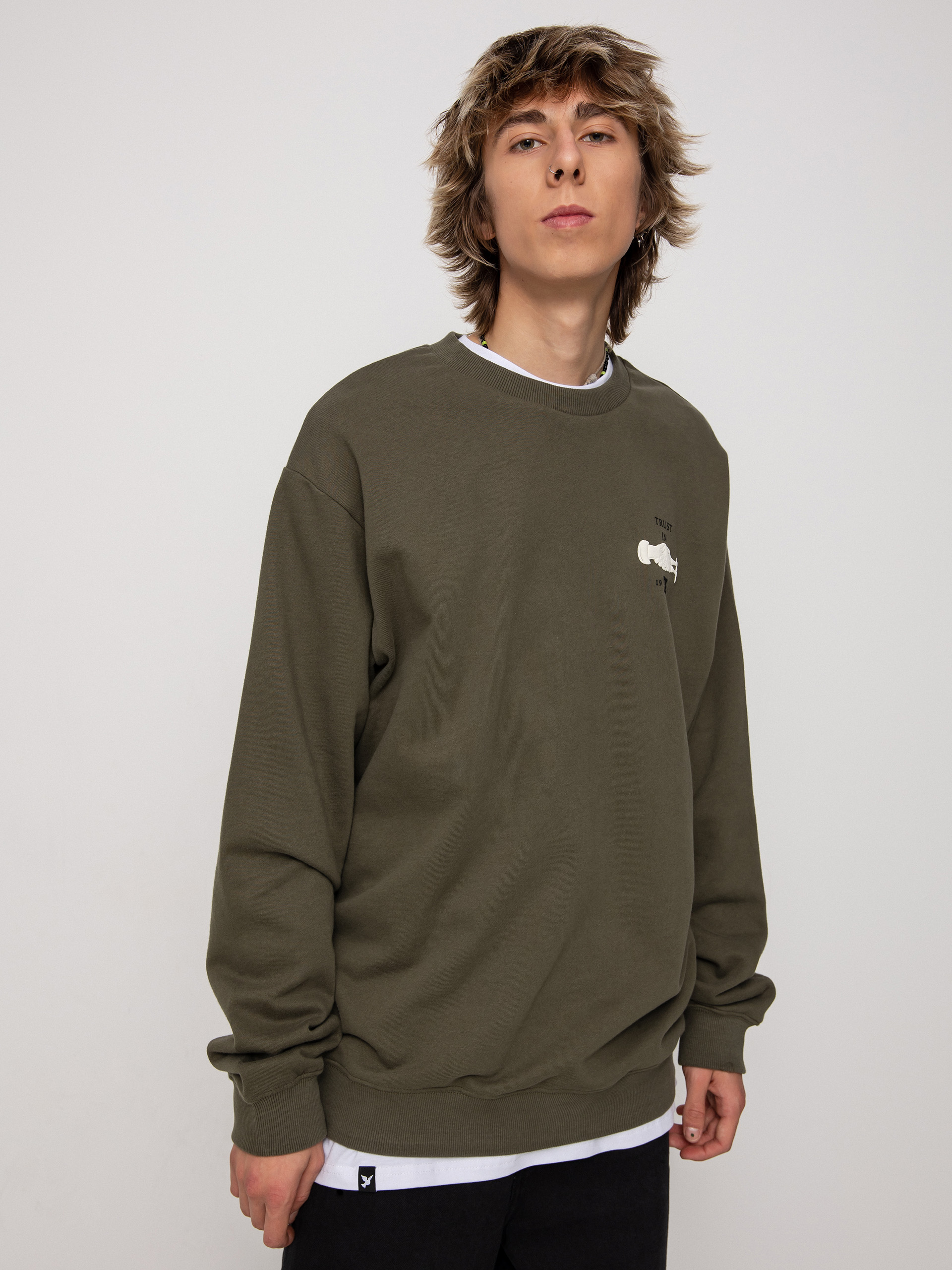 Mikina DC Trust Us (ivy green)