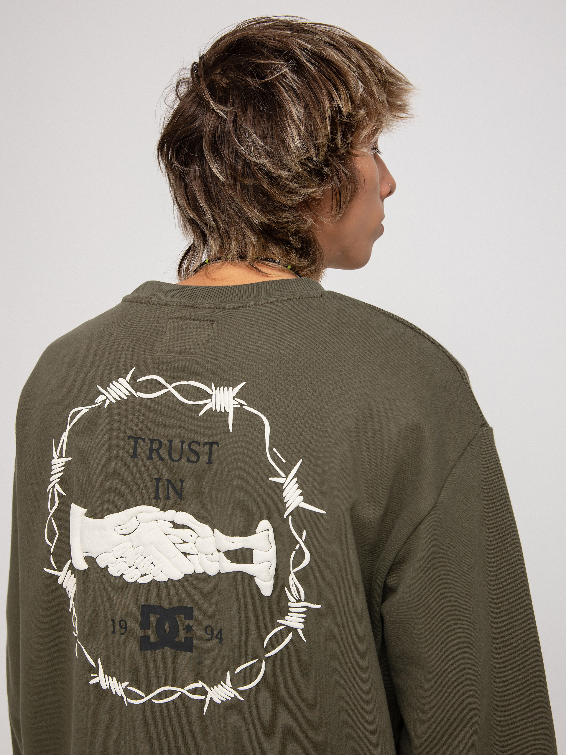 Mikina DC Trust Us (ivy green)