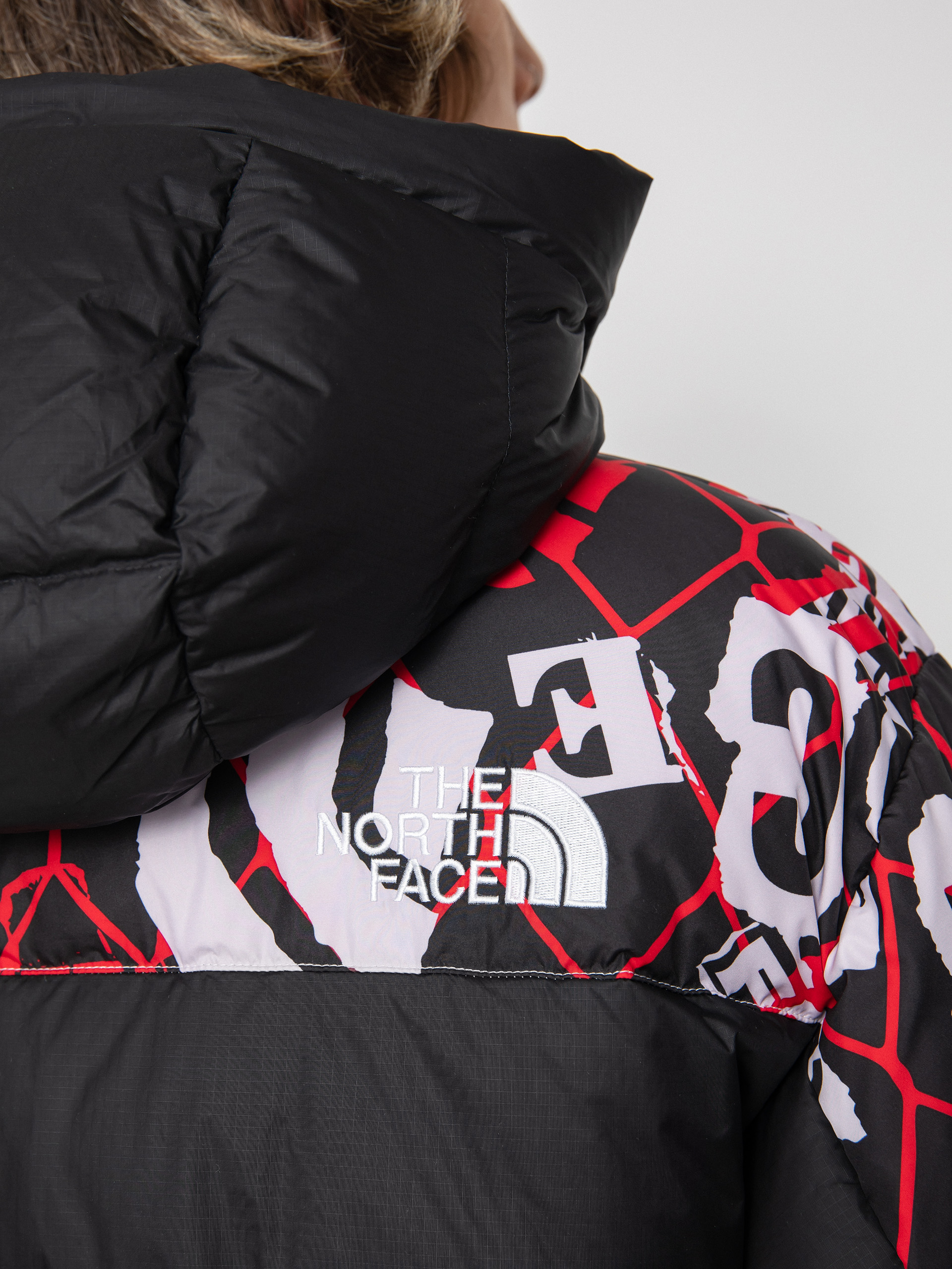 Bunda The North Face Printed Hmlyn Down Parka (lavender fog/cole navin/halfdome print)