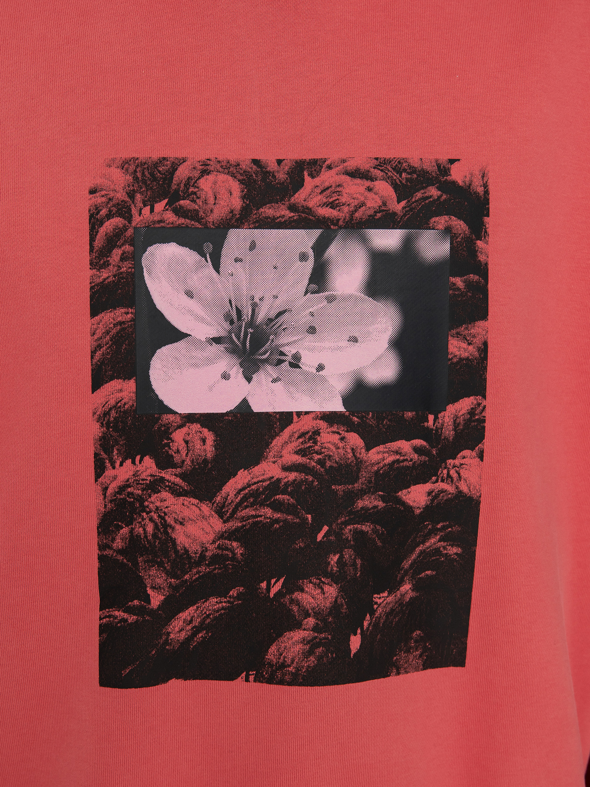 Mikina Nike SB Natural Boarder (adobe)