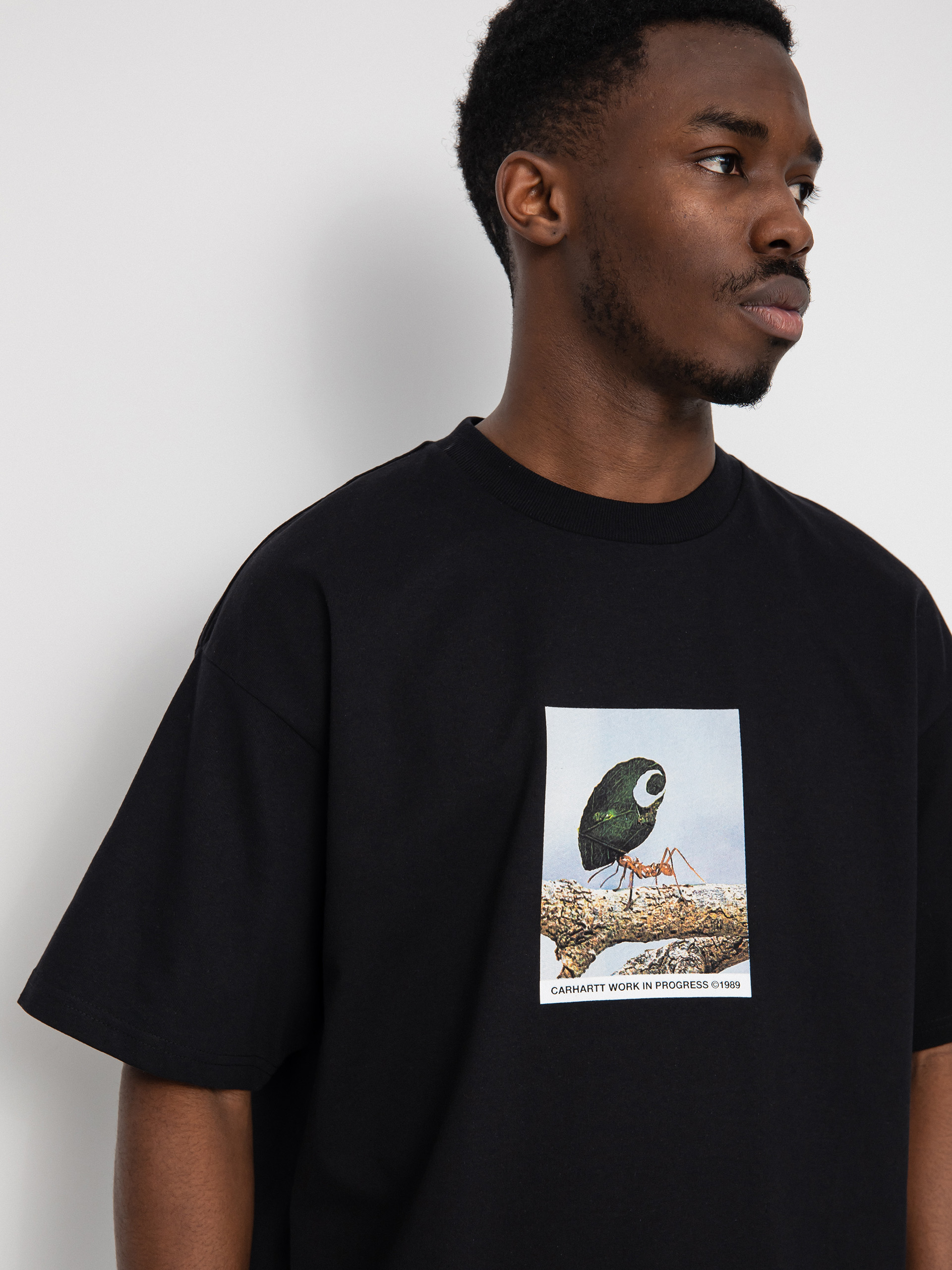 Tričko Carhartt WIP Antleaf (black)