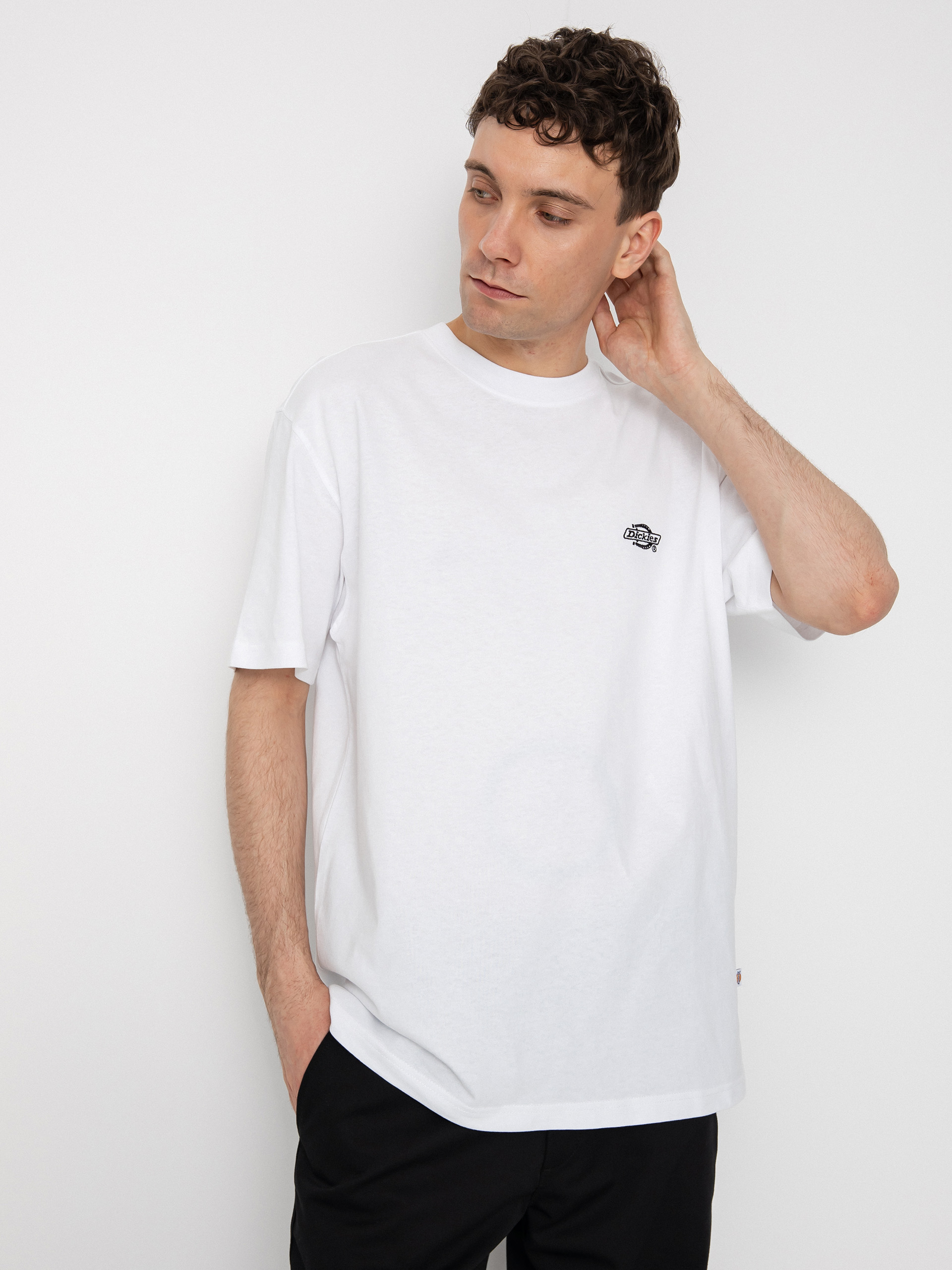 Tričko Dickies Summerdale (white)