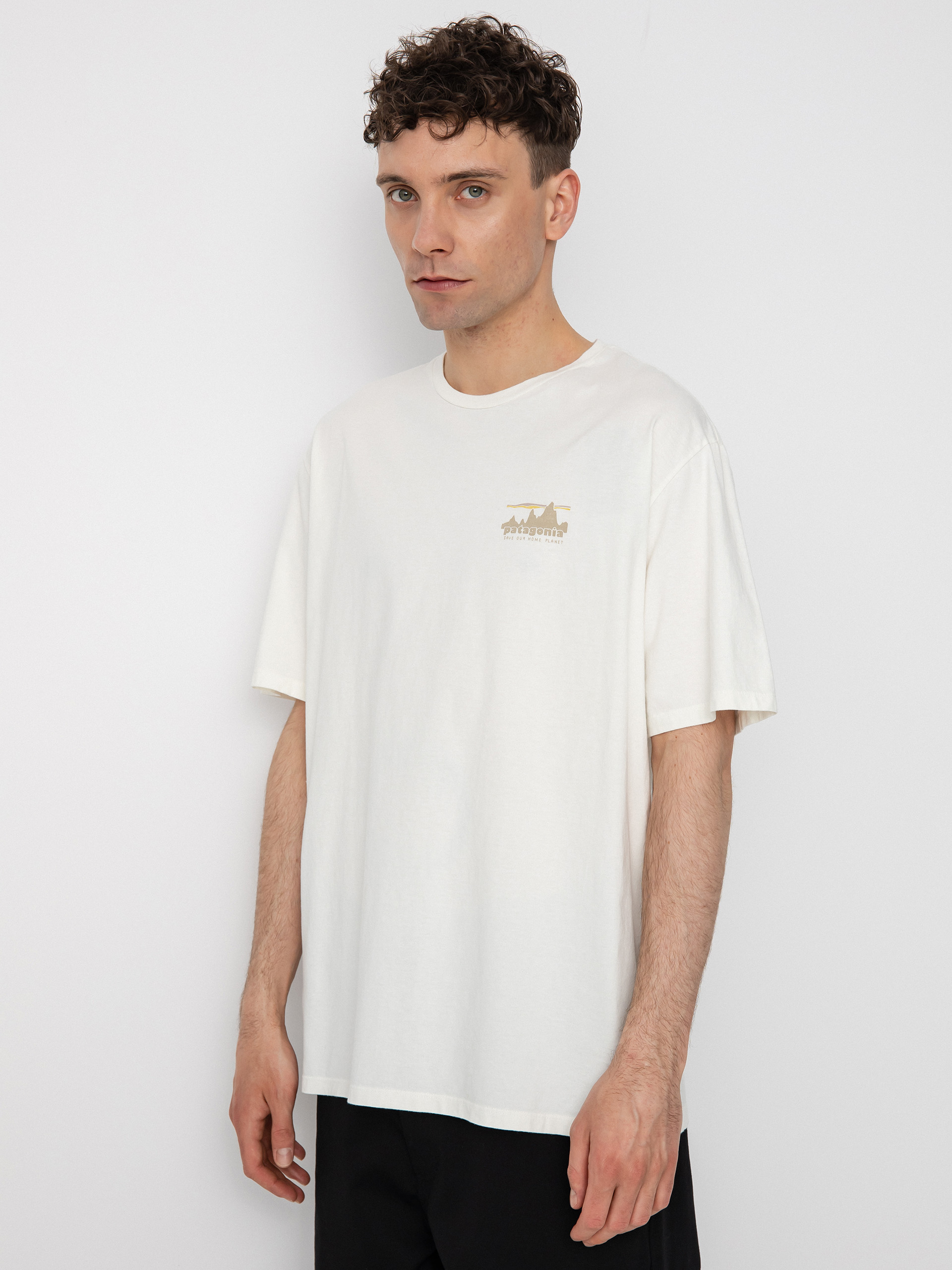 Tričko Patagonia 73 Skyline Organic (birch white)