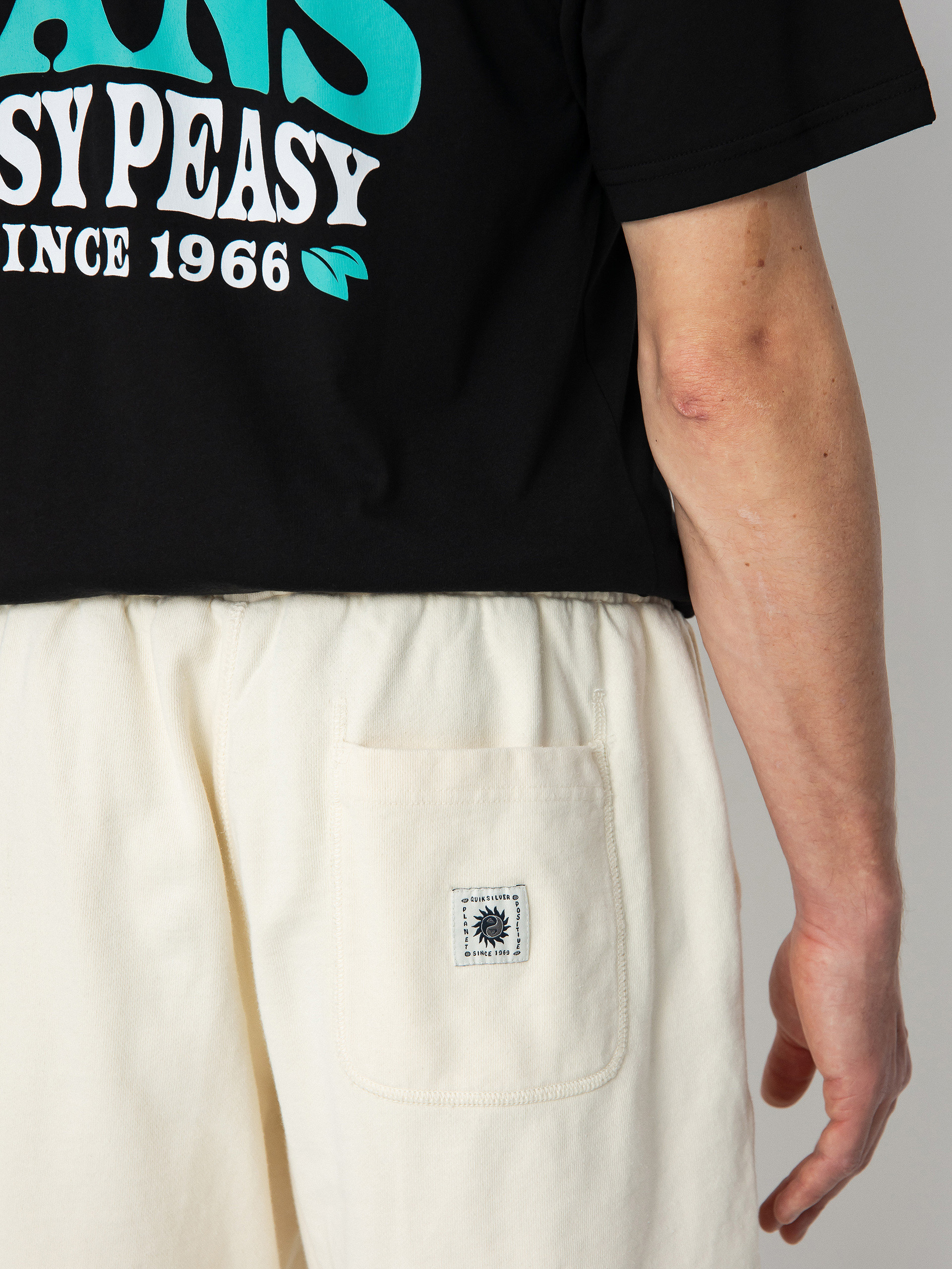 Kraťasy Quiksilver Trip Away (birch)