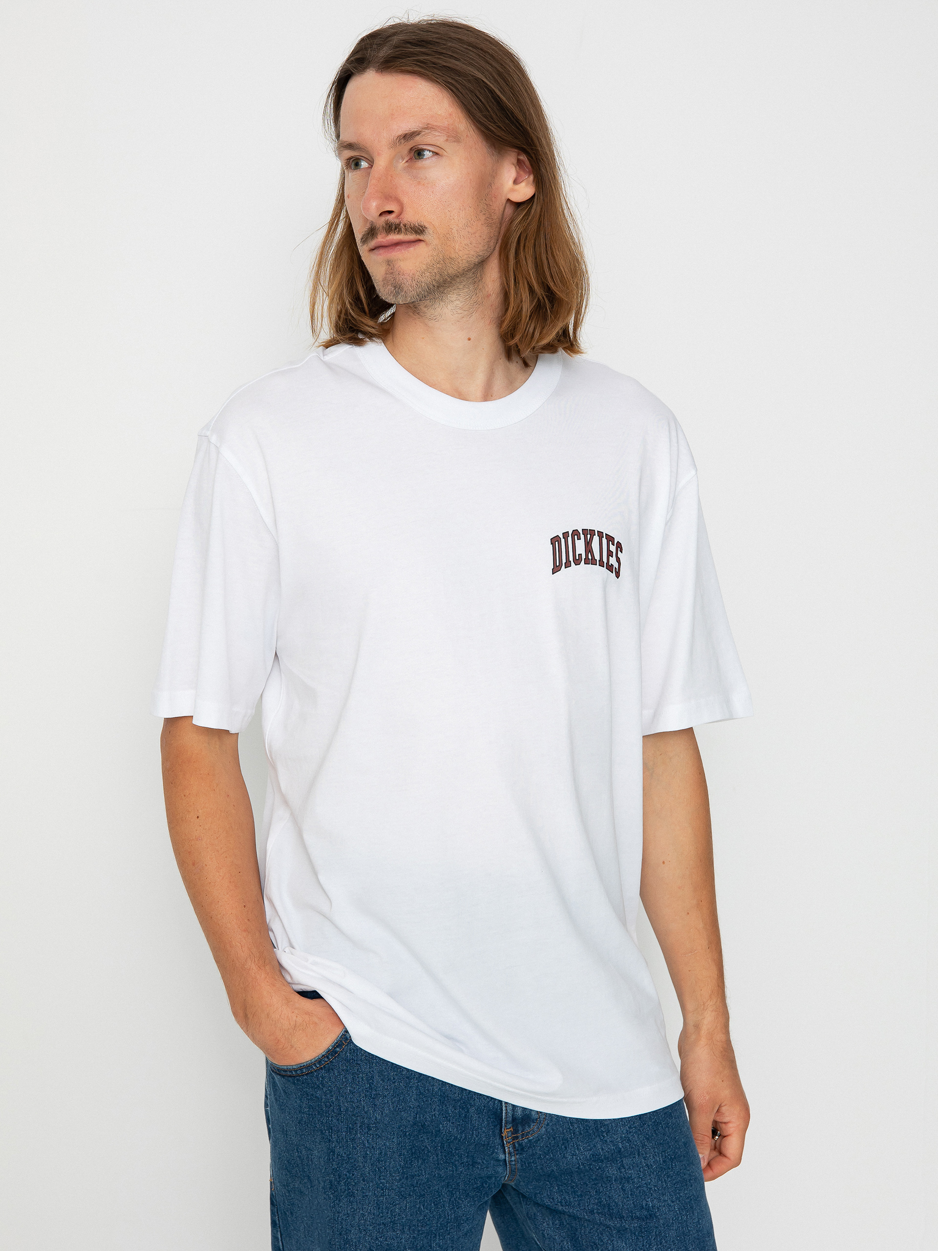 Tričko Dickies Aitkin Chest (white/fired)