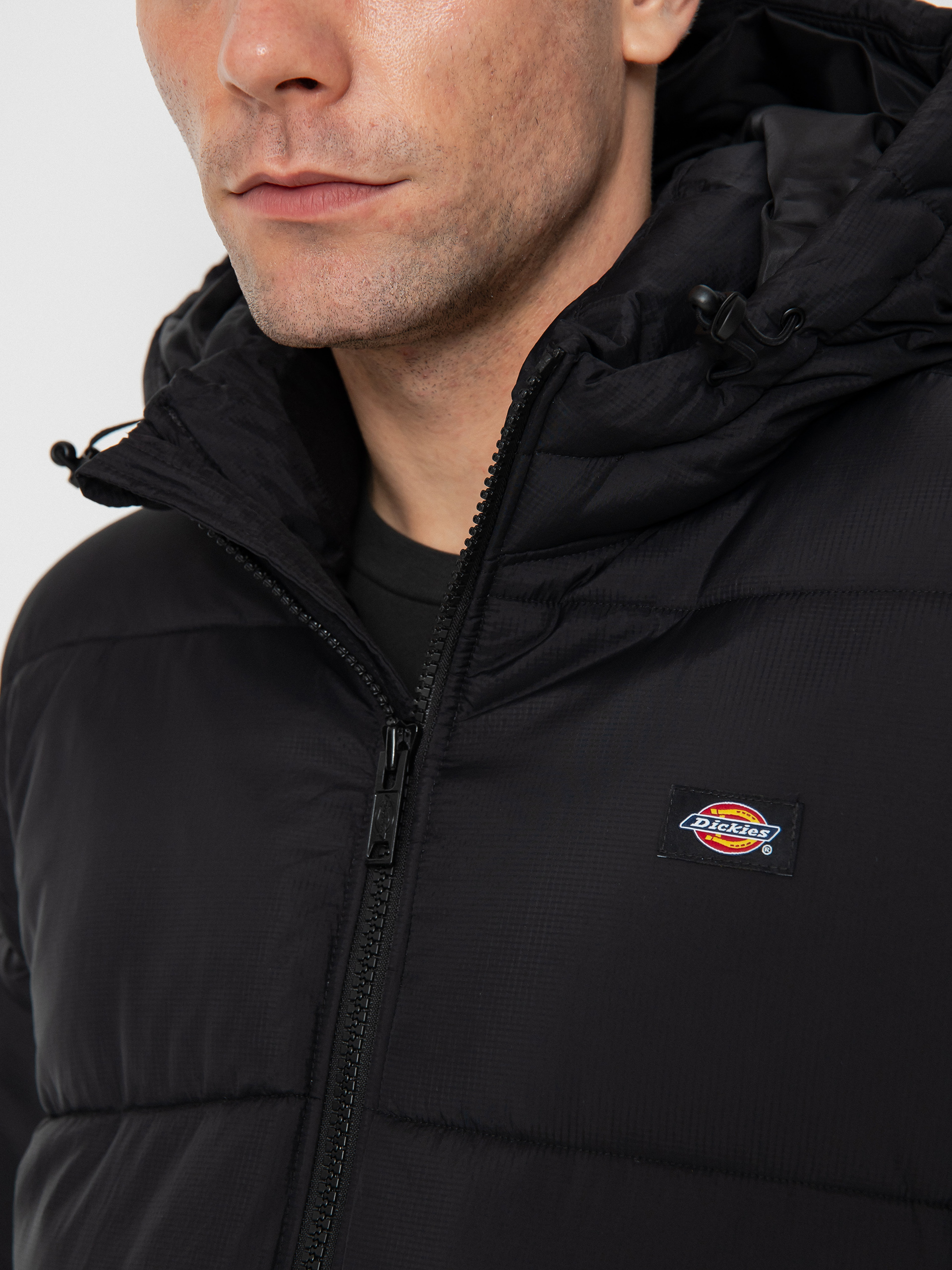 Bunda Dickies Waldenburg (black)