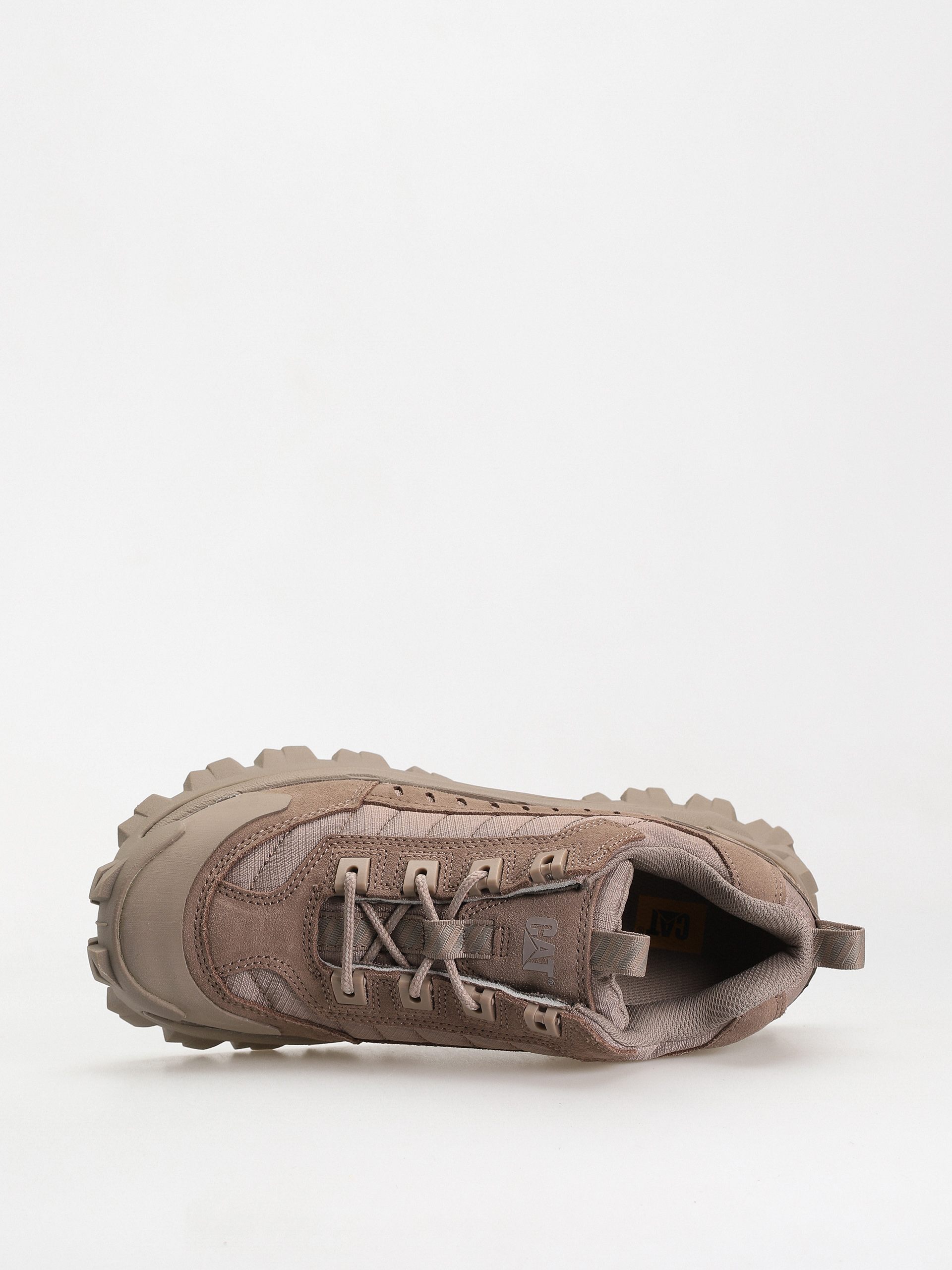 Boty Caterpillar Intruder (fungi)