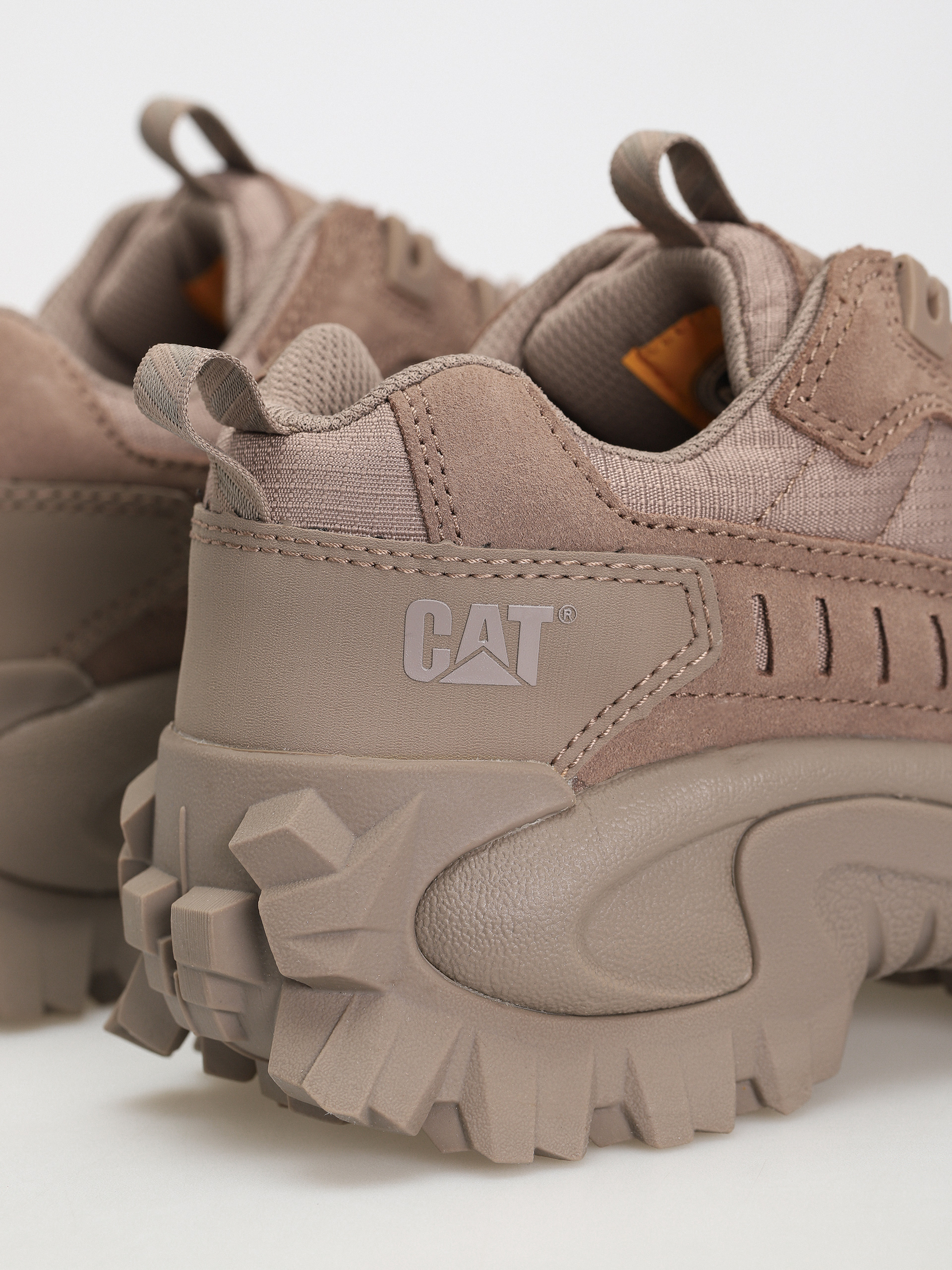 Boty Caterpillar Intruder (fungi)