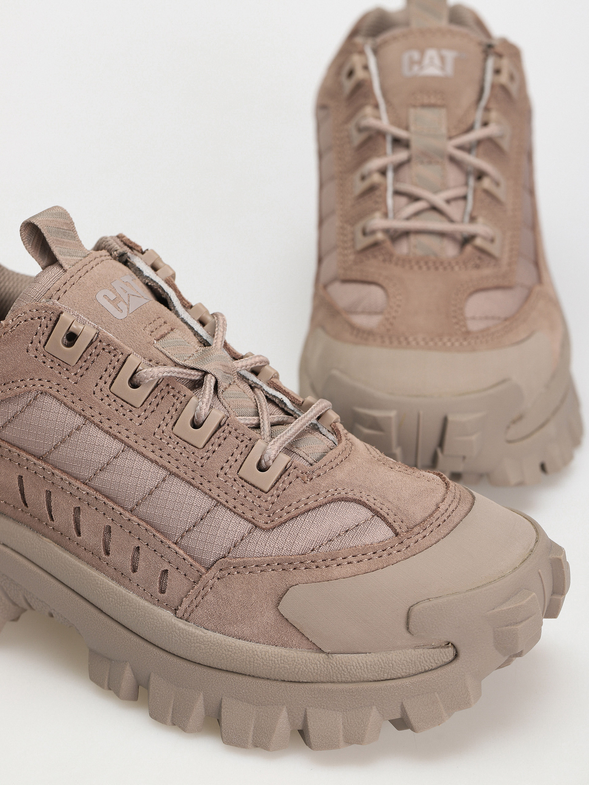 Boty Caterpillar Intruder (fungi)