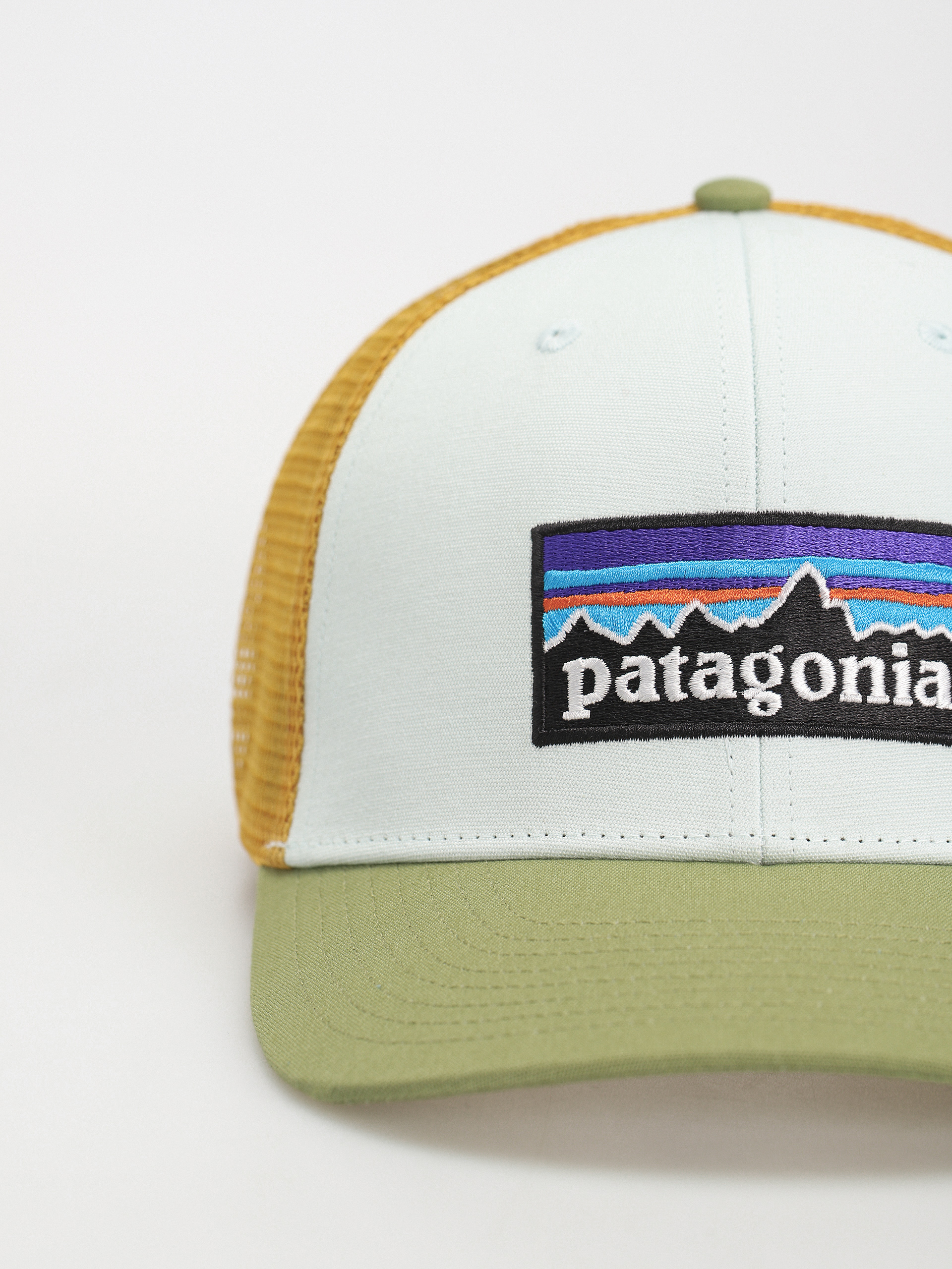 Kšiltovka  Patagonia P-6 Logo Trucker (wispy green)