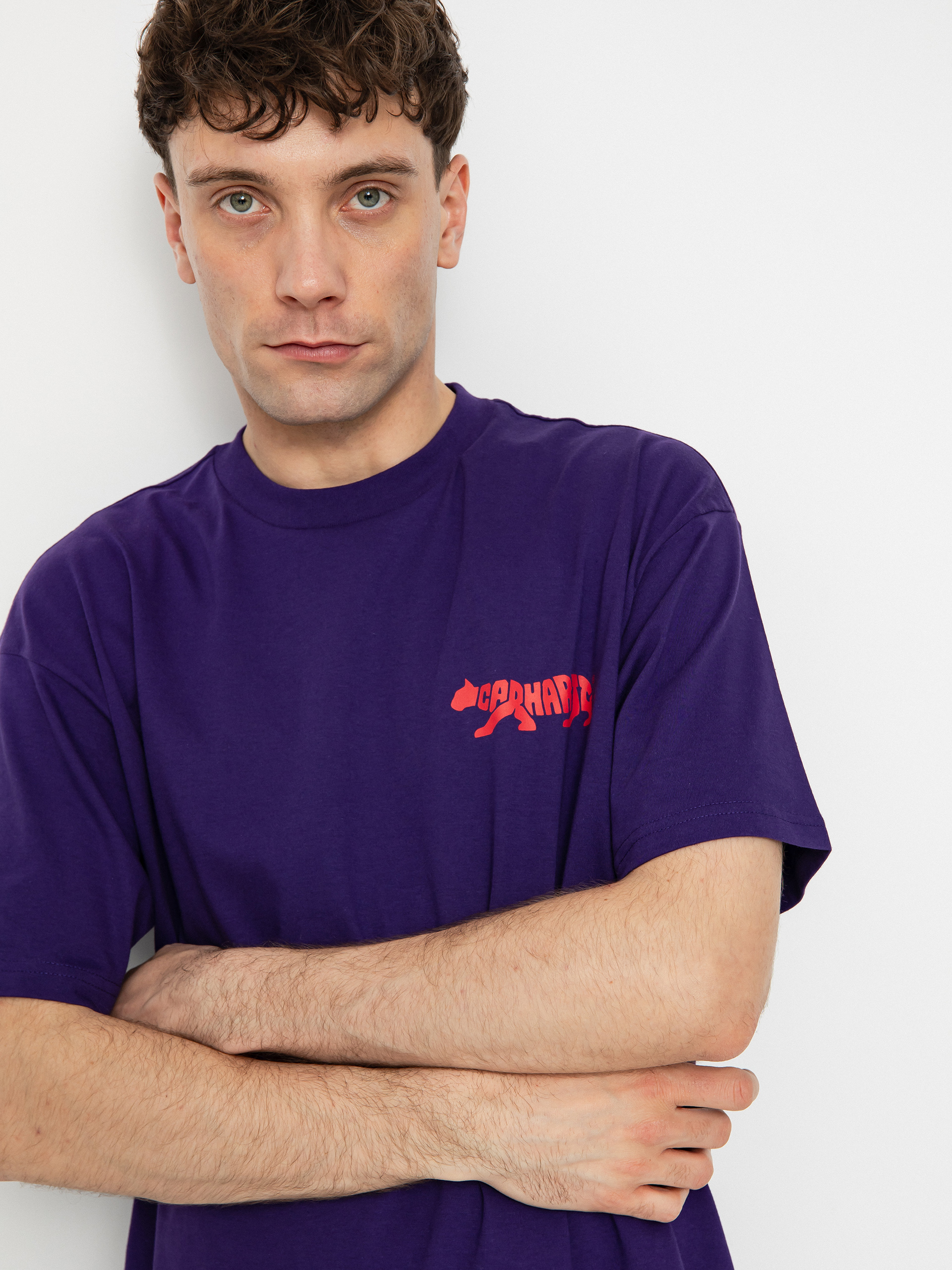 Tričko Carhartt WIP Rocky (tyrian)