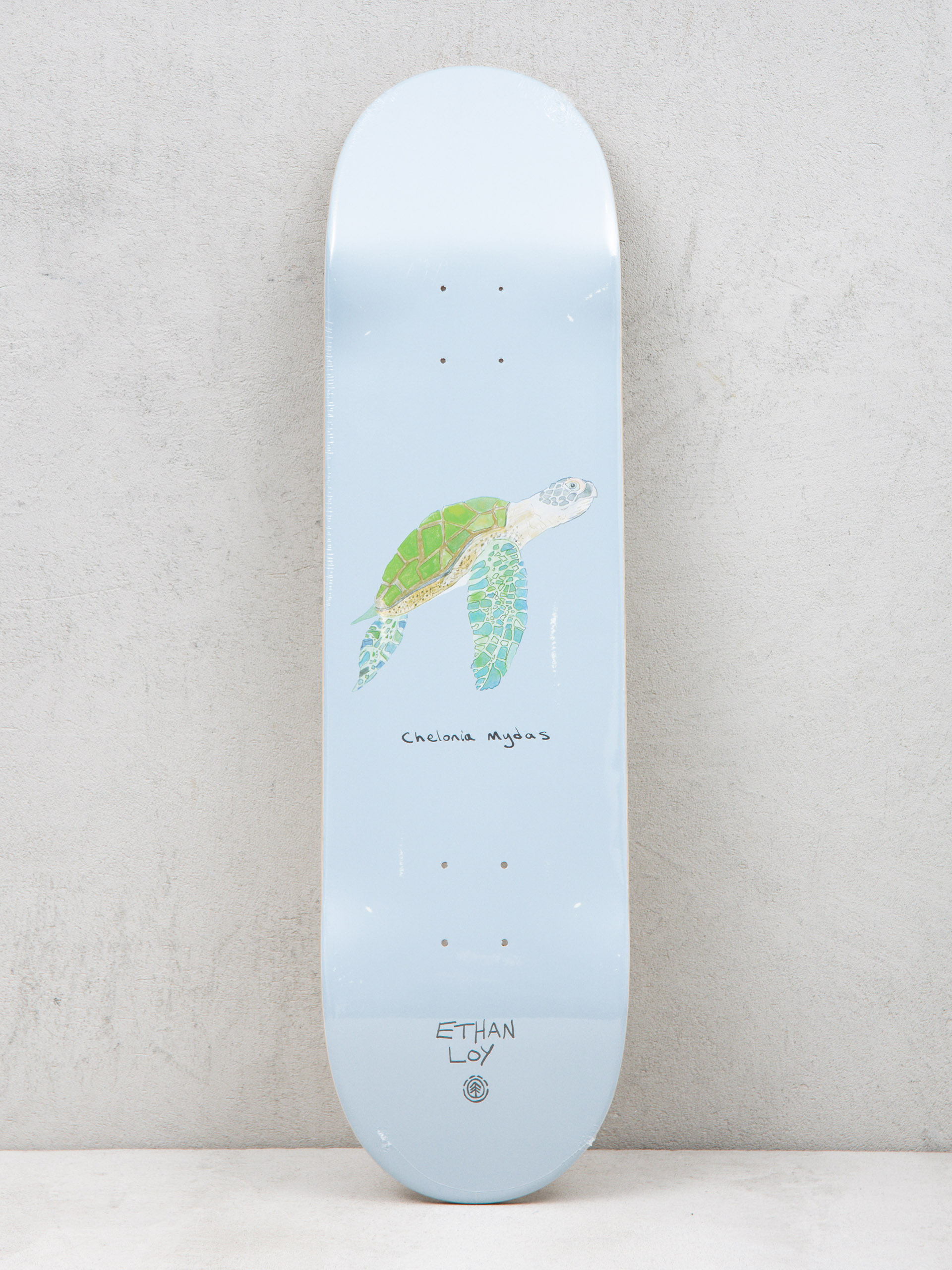 Deska Element Endangered Ethan Loy (assorted)