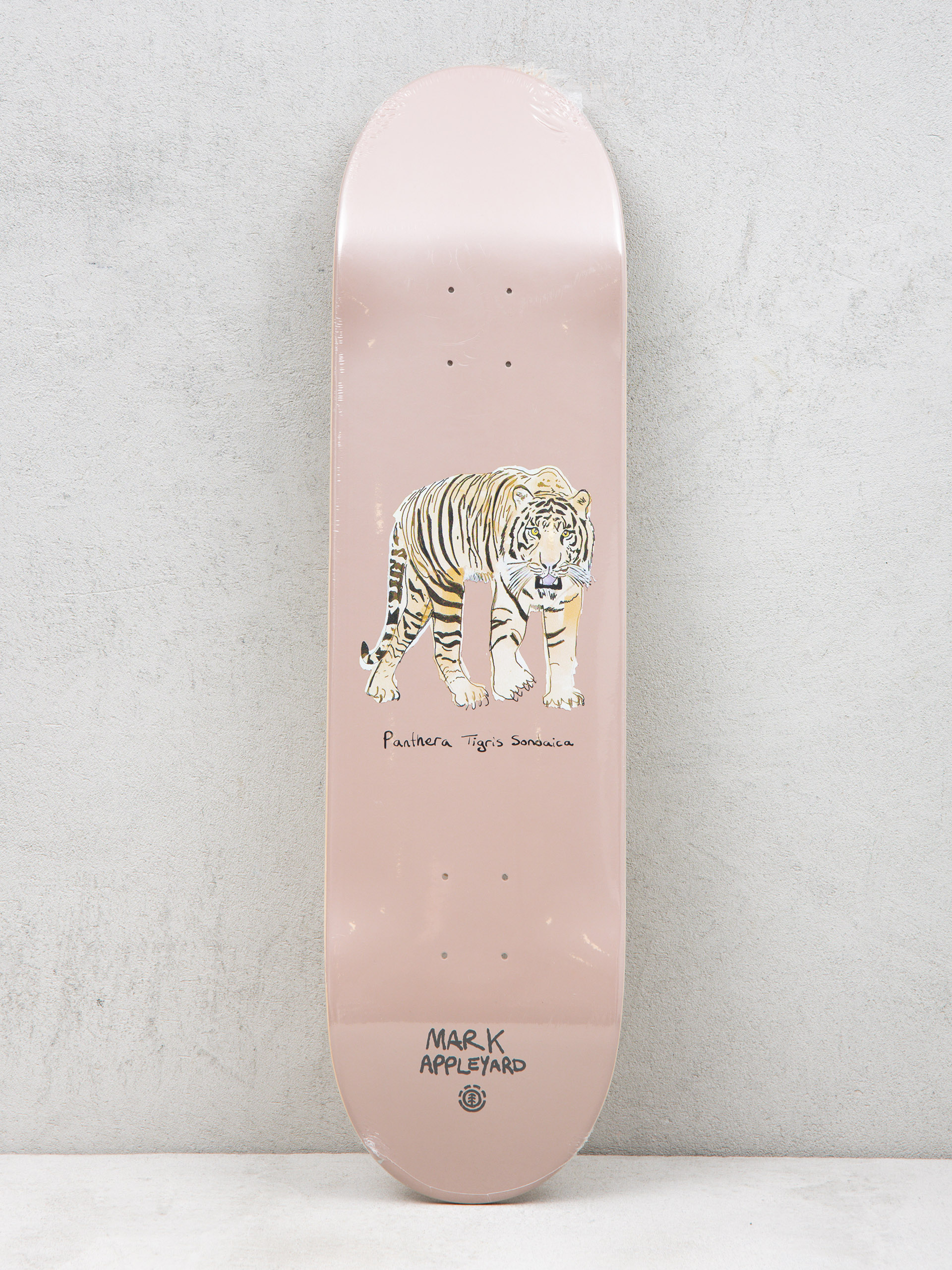 Deska Element Endangered Mark  Appleyard (assorted)