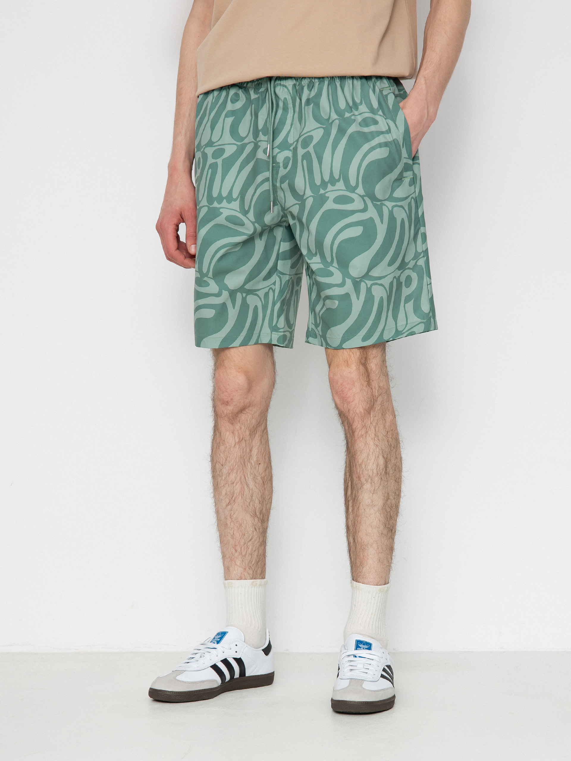 Kraťasy RipNDip Wilshire Swim (pine)