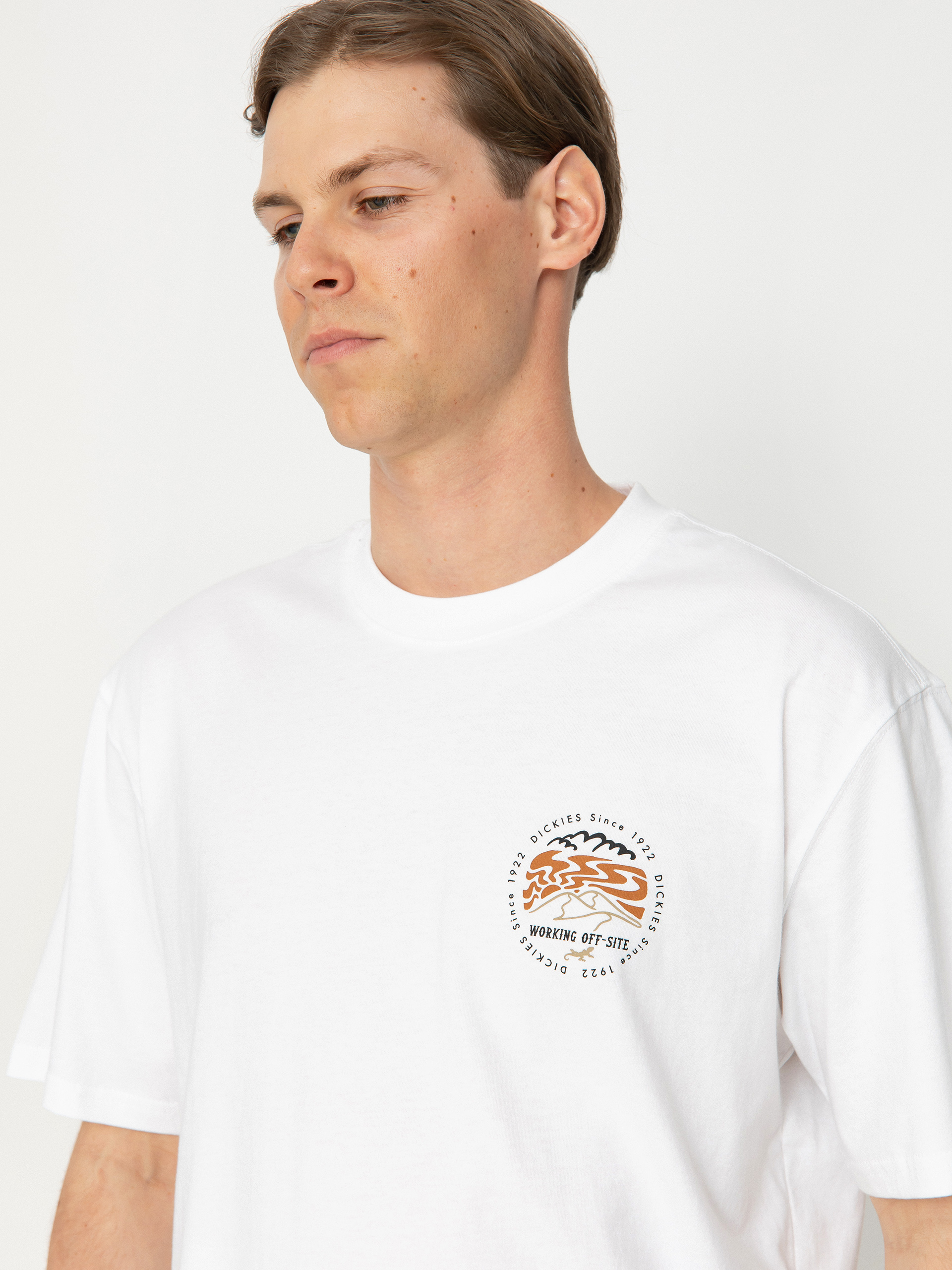 Tričko Dickies Stanardsville (white)