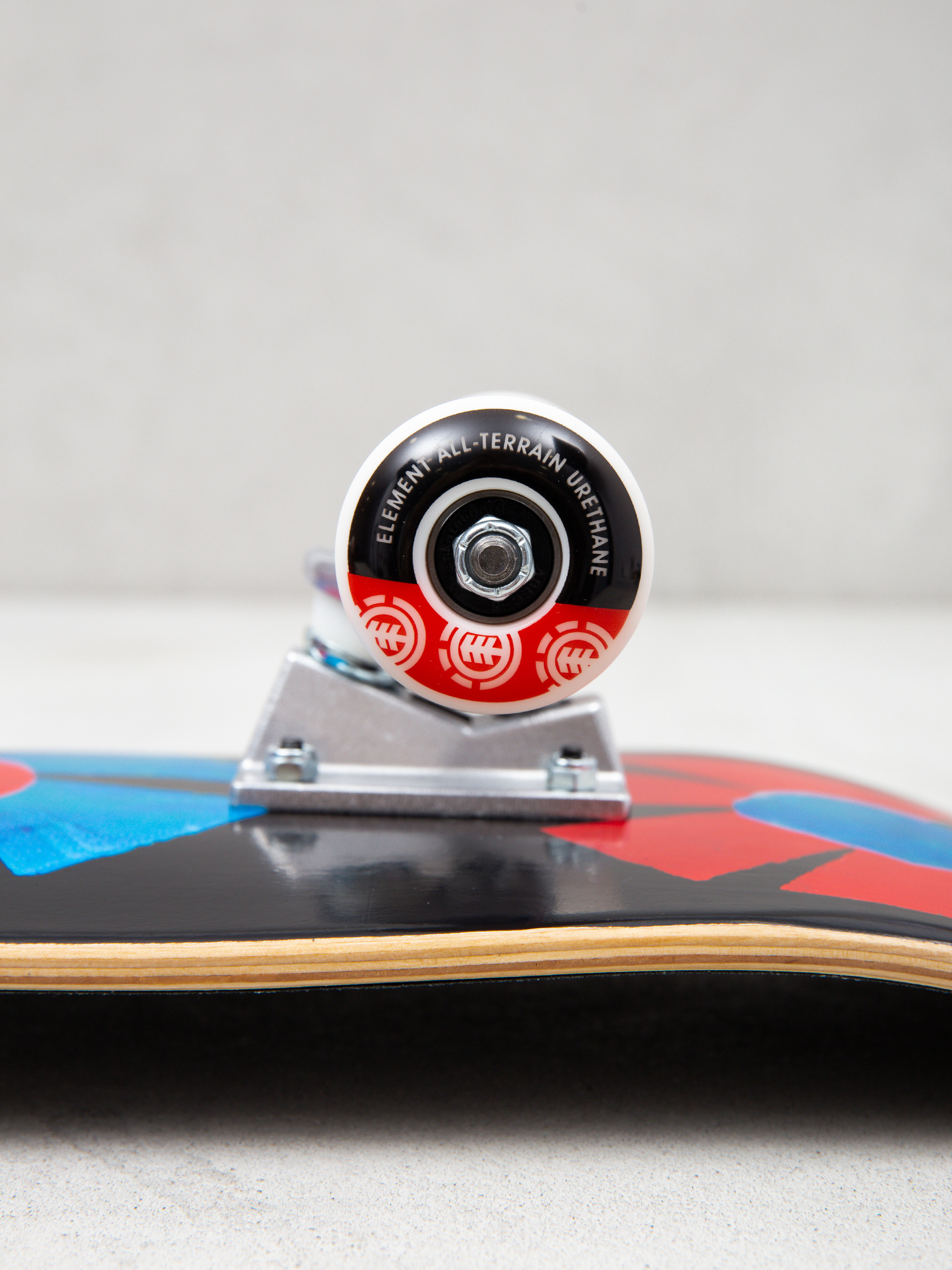 Skateboard Element Day Flower (assorted)