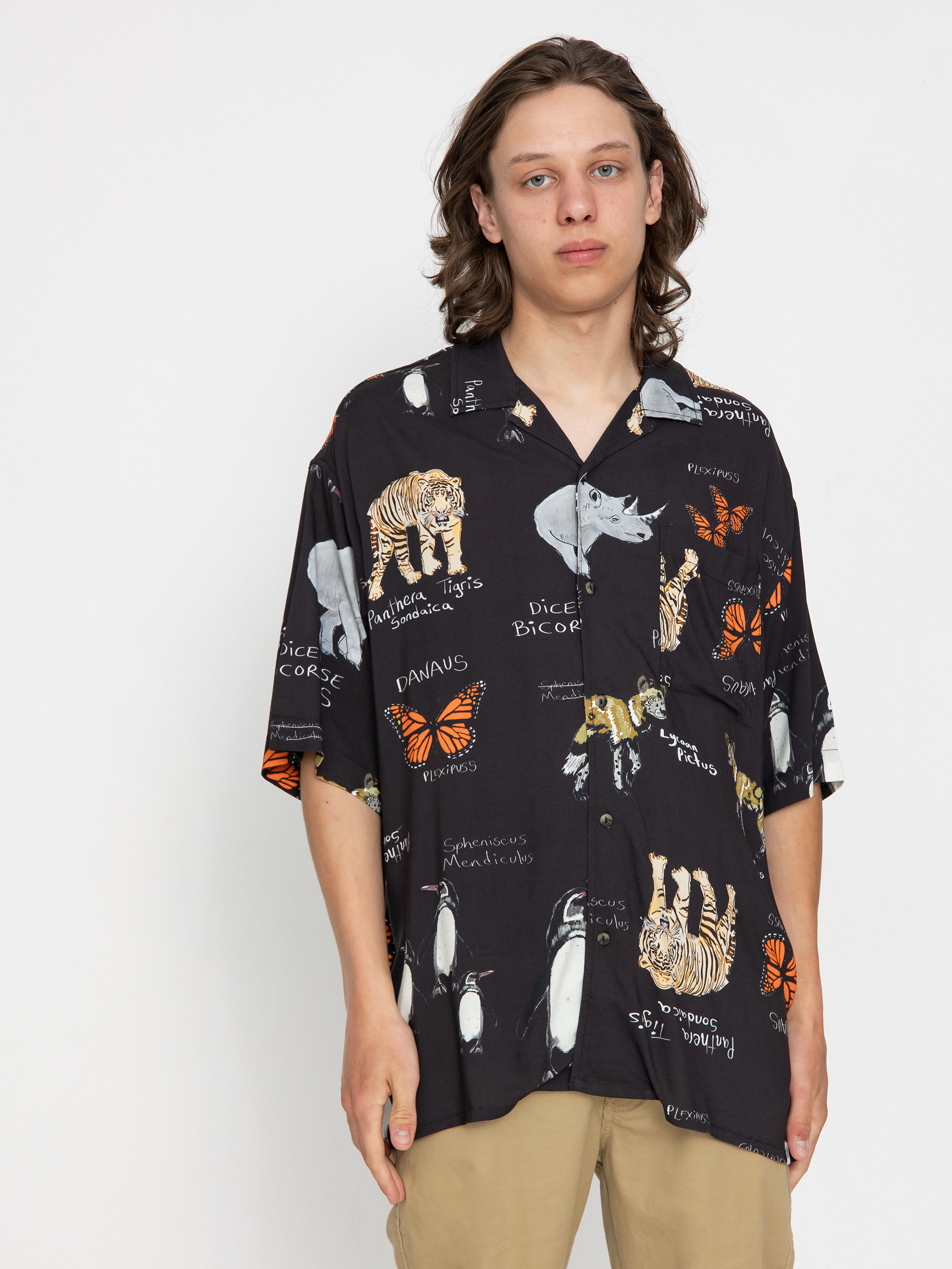 Kou0161ile Element Resort (inside out species)