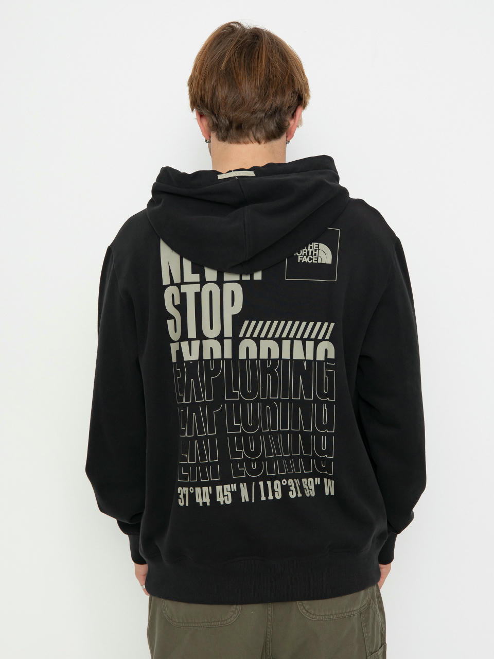 Mikina s kapucí The North Face Coordinates HD (tnf black)