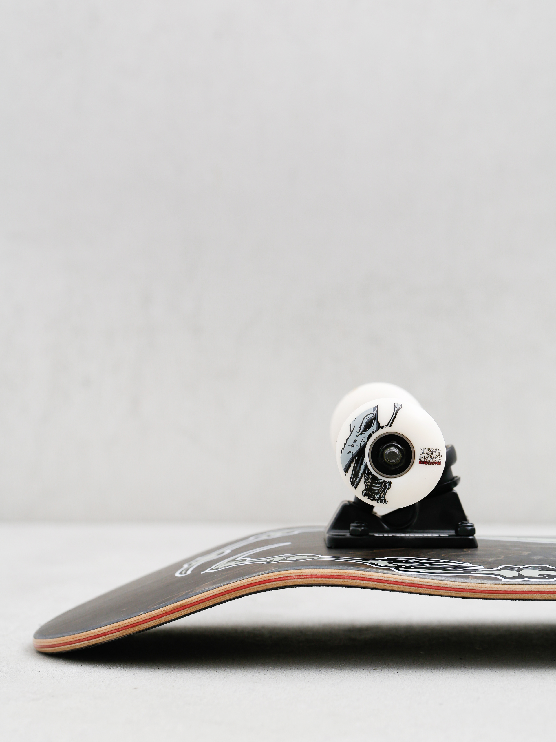 Skateboard Birdhouse Hawk Pterodactyl (black)