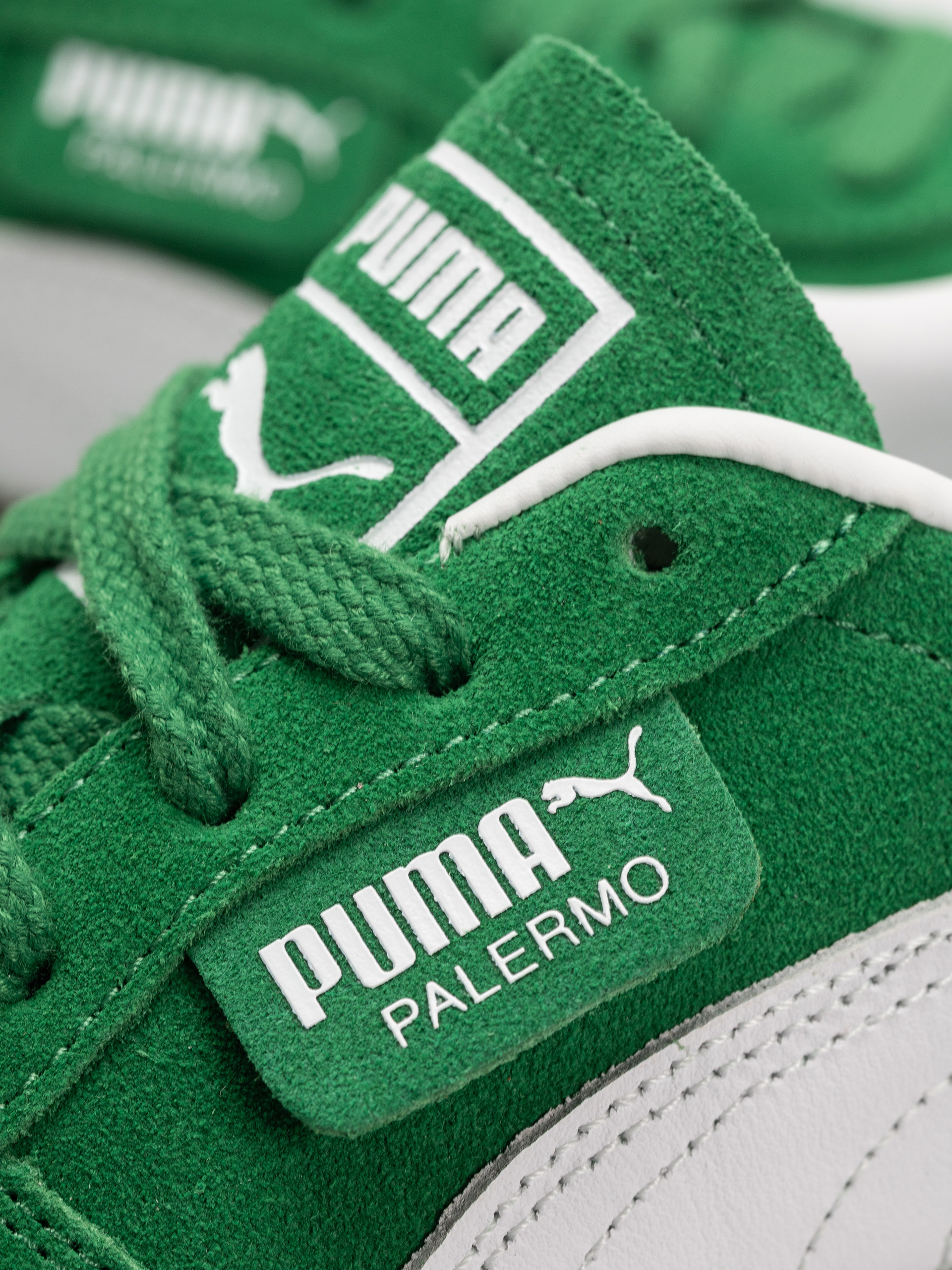 Boty Puma Palermo (archive green/puma white)