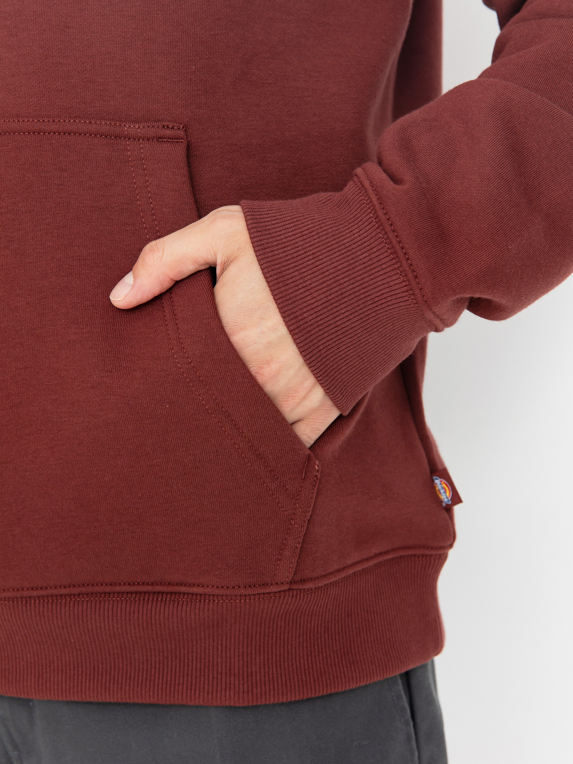 Mikina s kapucí Dickies Oakport HD (andorra)