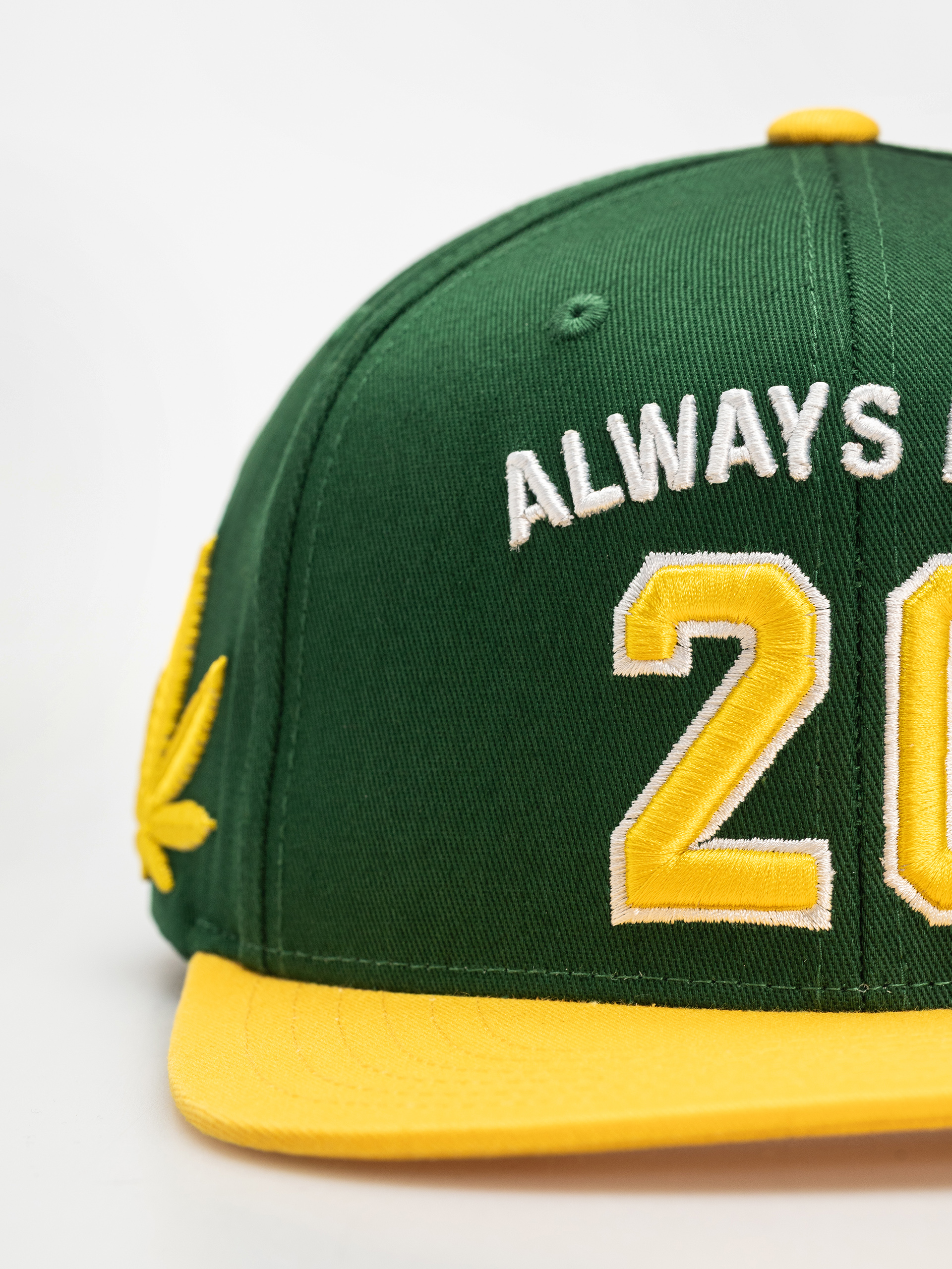 Kšiltovka  DGK Team Indica Snap (green)