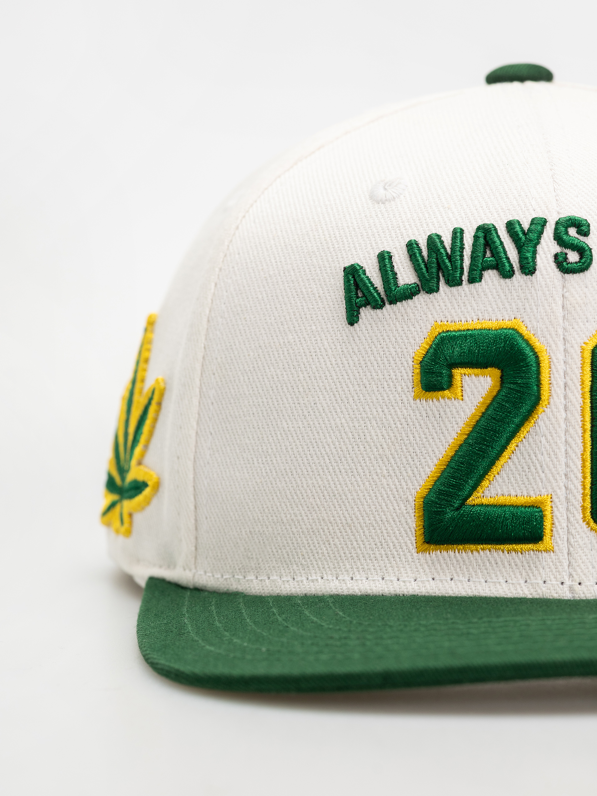 Kšiltovka  DGK Team Indica Snap (white)