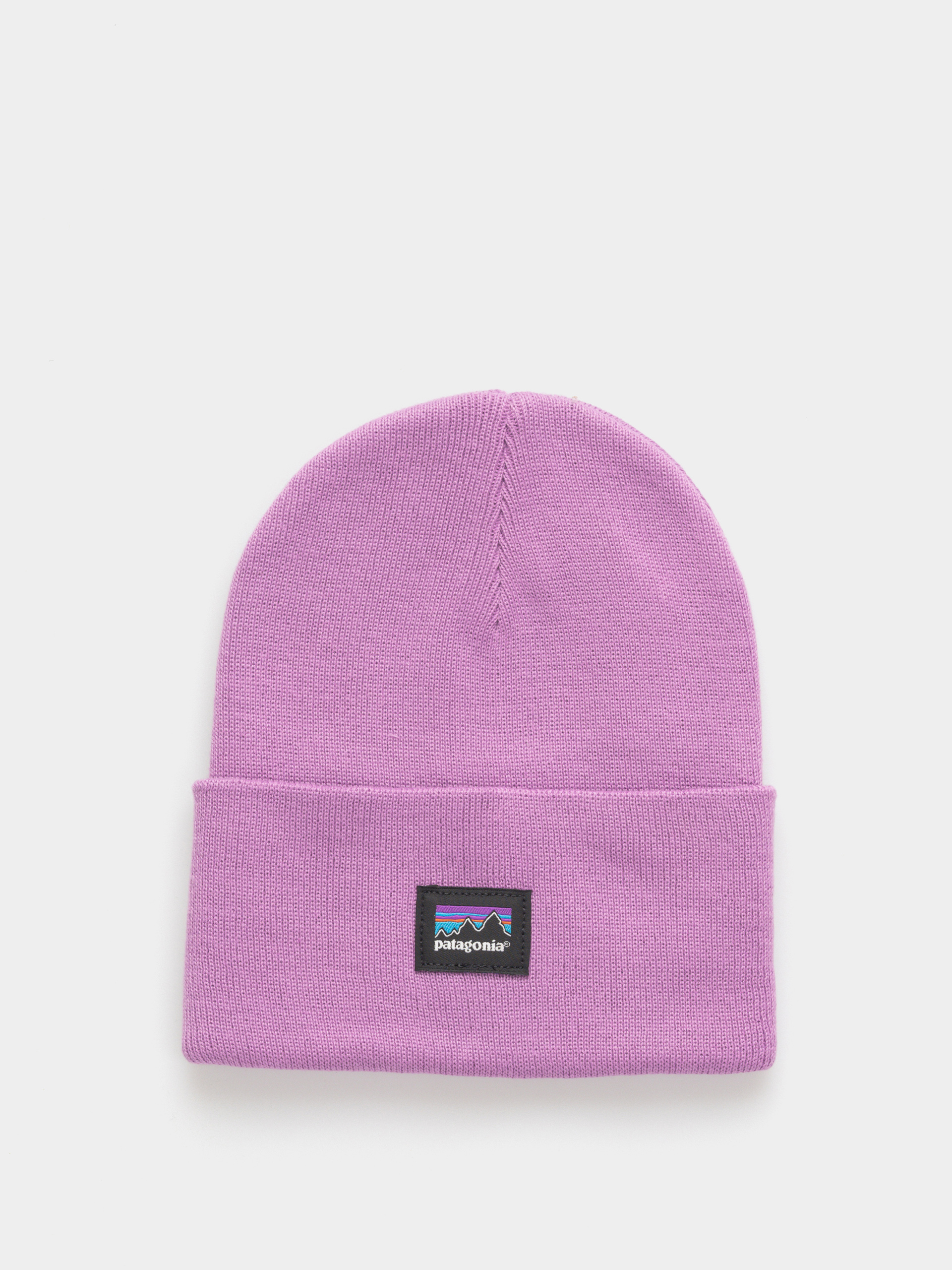 u010cepice Patagonia Everyday (brisk purple)