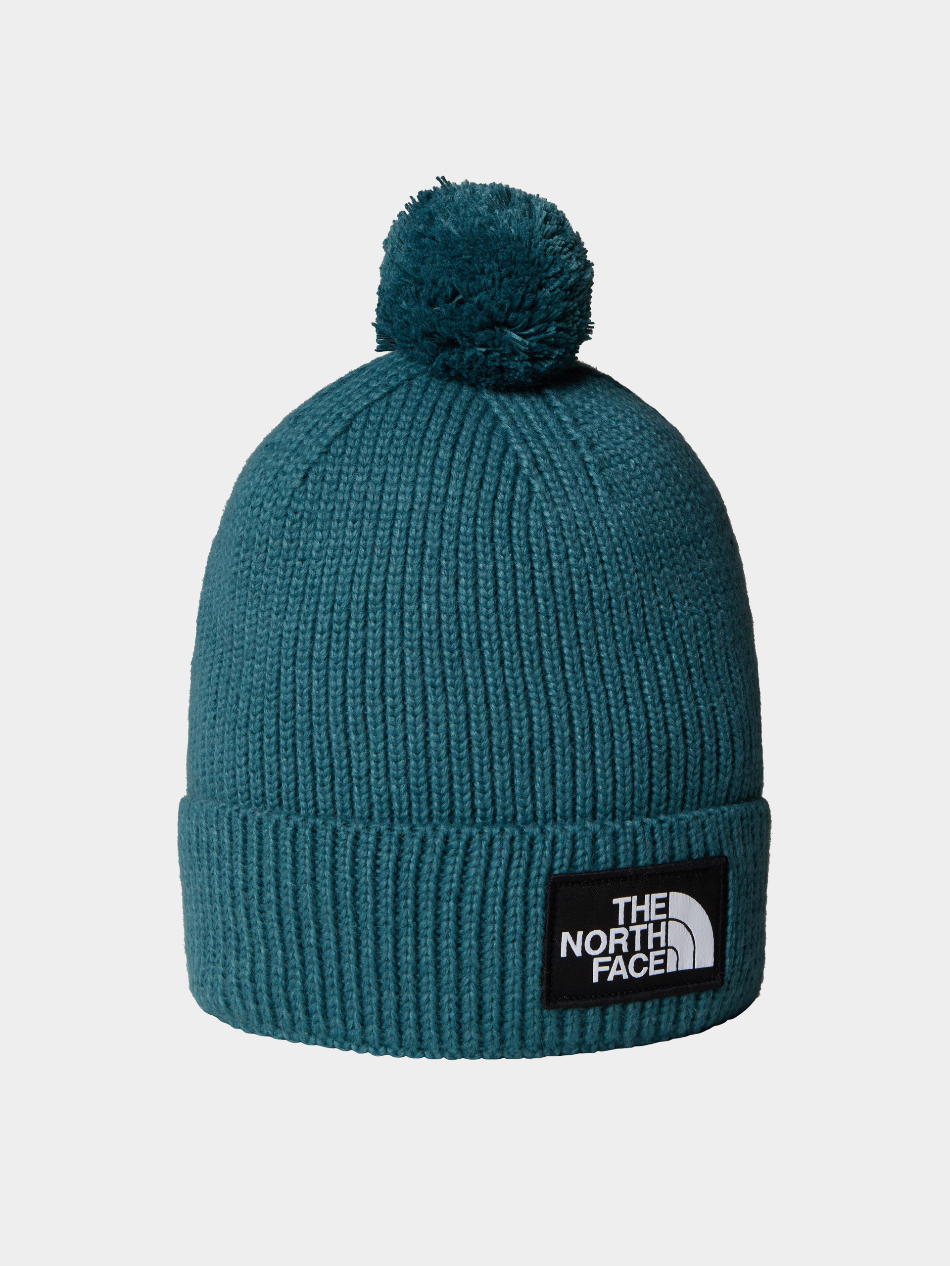 u010cepice The North Face Tnf Logo Box Pom (space)