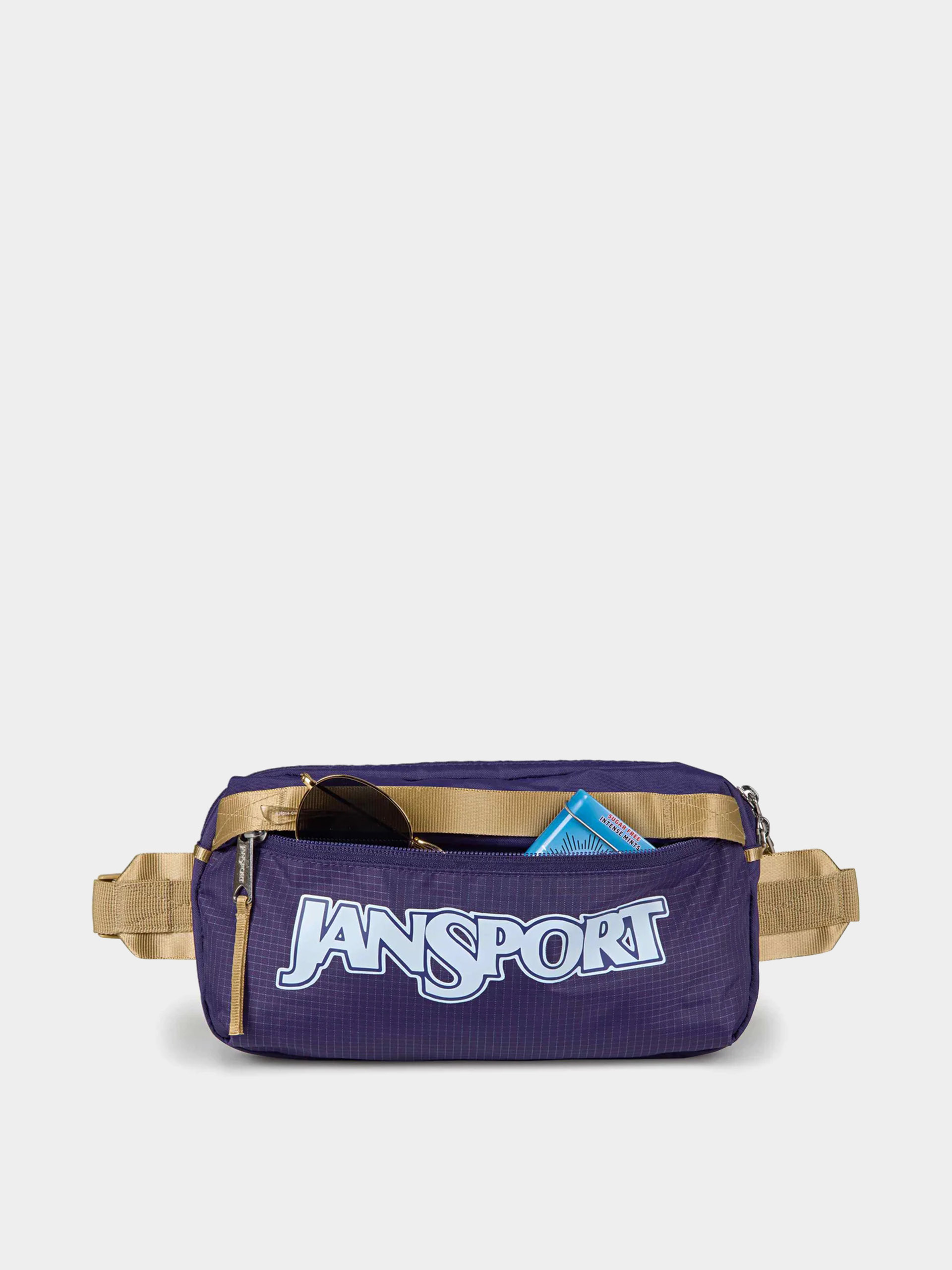 Ledvinka JanSport Washington (amethyst angst)