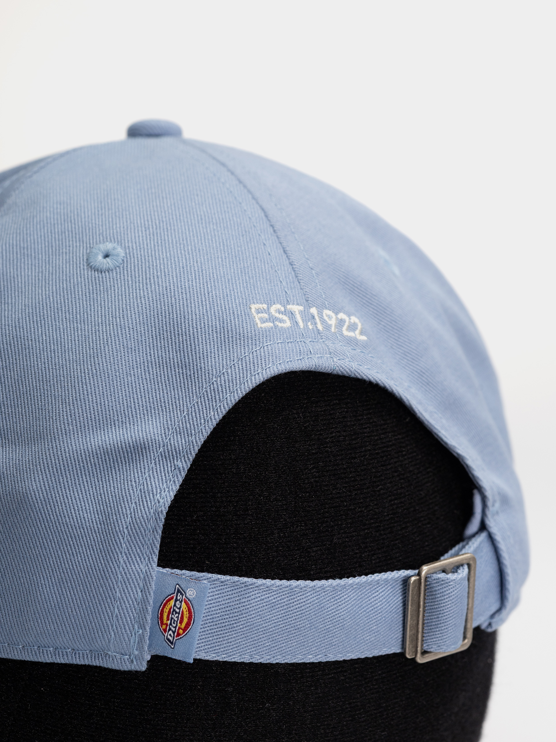 Kšiltovka  Dickies Essential Dad (endless sky)