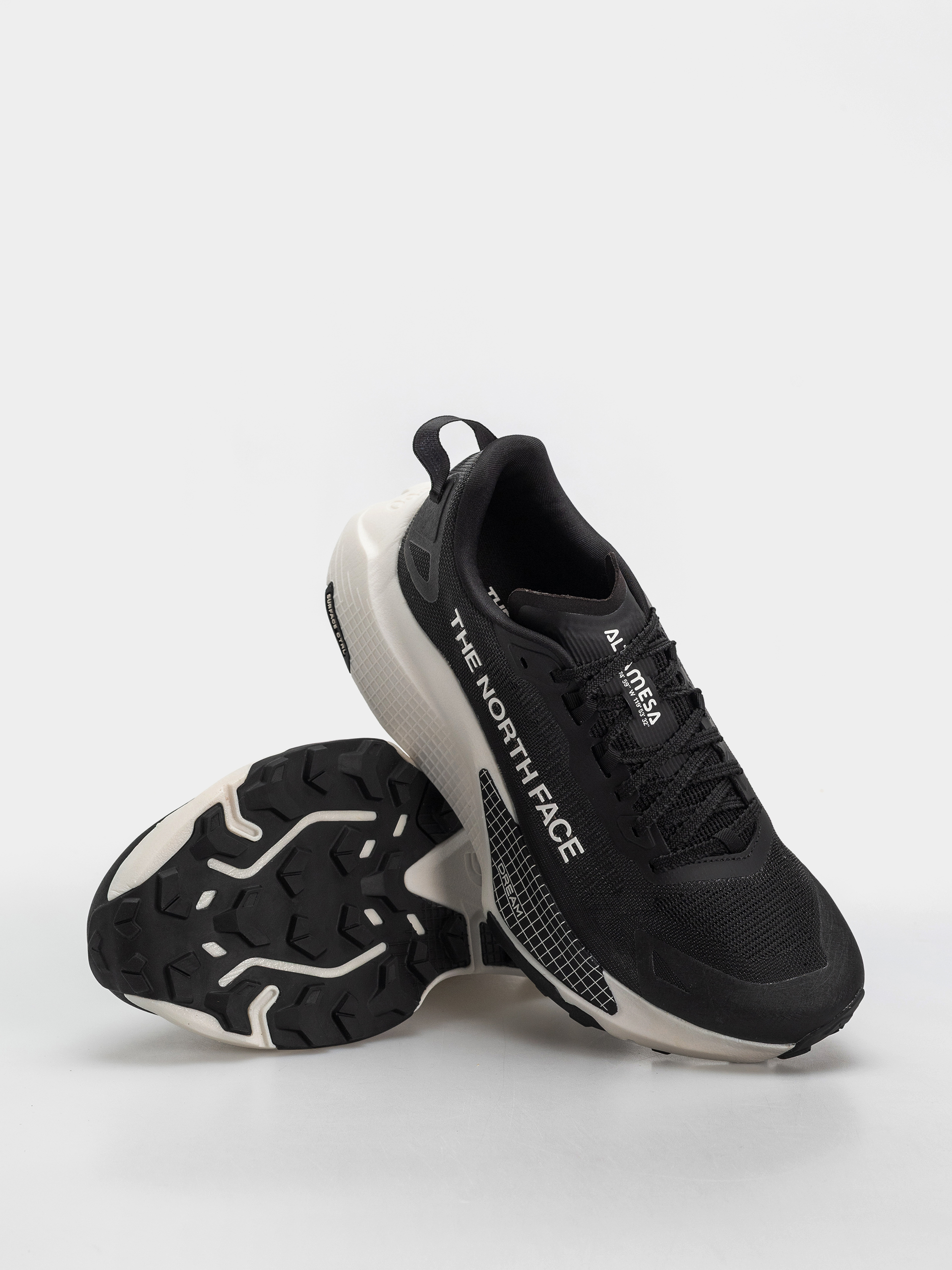 Boty The North Face Altamesa 500 V2 (tnf black/white)