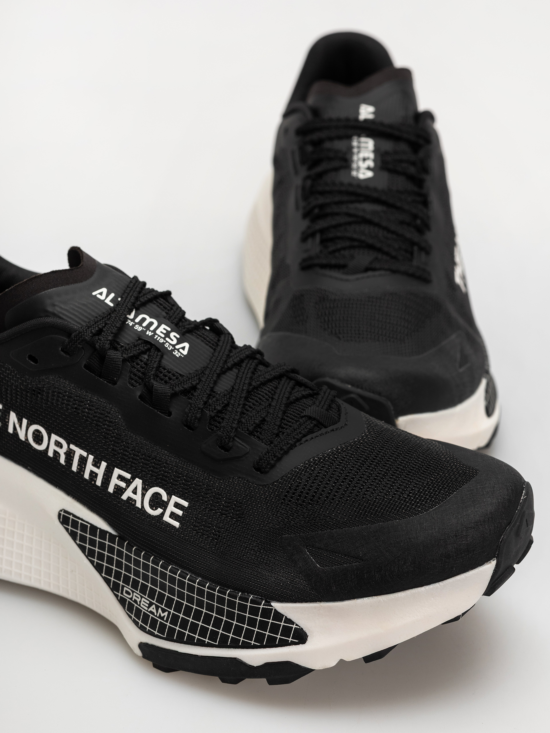 Boty The North Face Altamesa 500 V2 (tnf black/white)