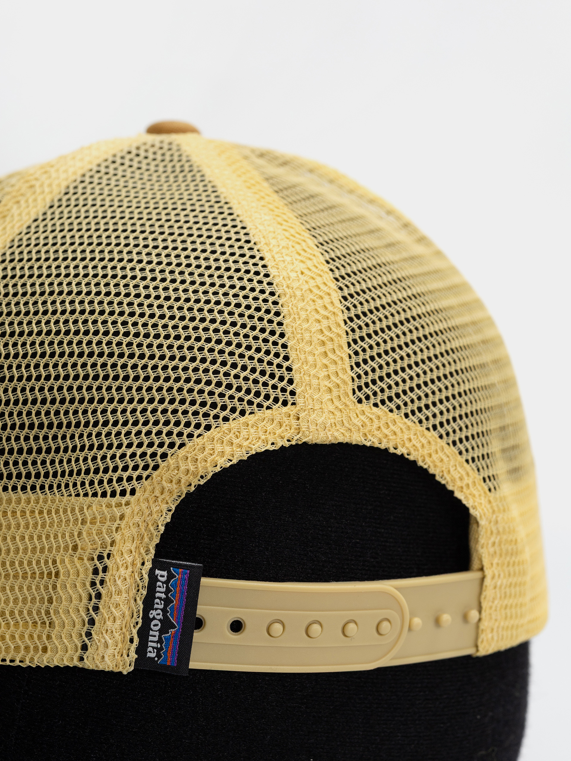 Kšiltovka  Patagonia Flying Fish LoPro Trucker (flying fish fork/bobcat brown)